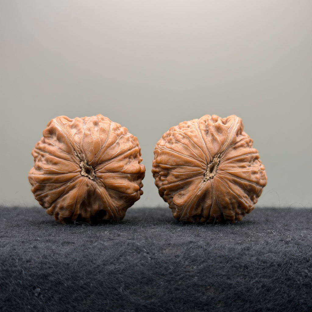 Hammer Sister Wenwan Walnut · 38mm · Natural · Premium Ritual