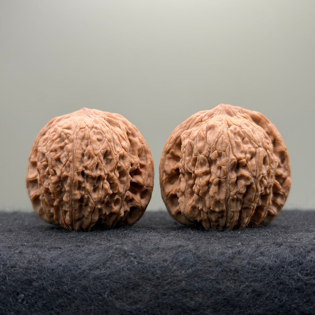 Hydrangea Wenwan Walnut · 40mm · Natural · Premium Ritual