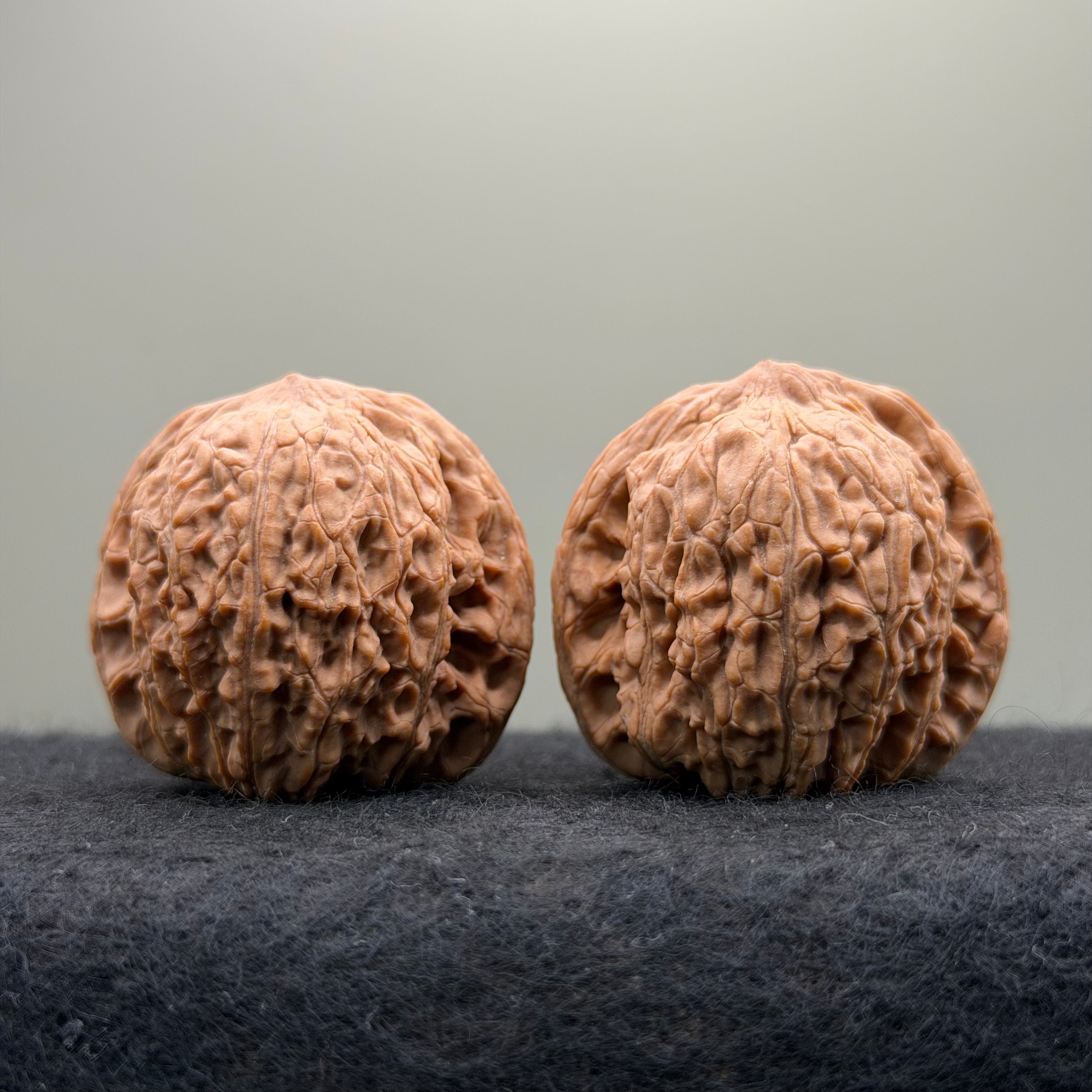 Hydrangea Wenwan Walnut · 40mm · Natural · Premium Ritual