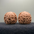 Hydrangea Wenwan Walnut · 40mm · Natural · Premium Ritual
