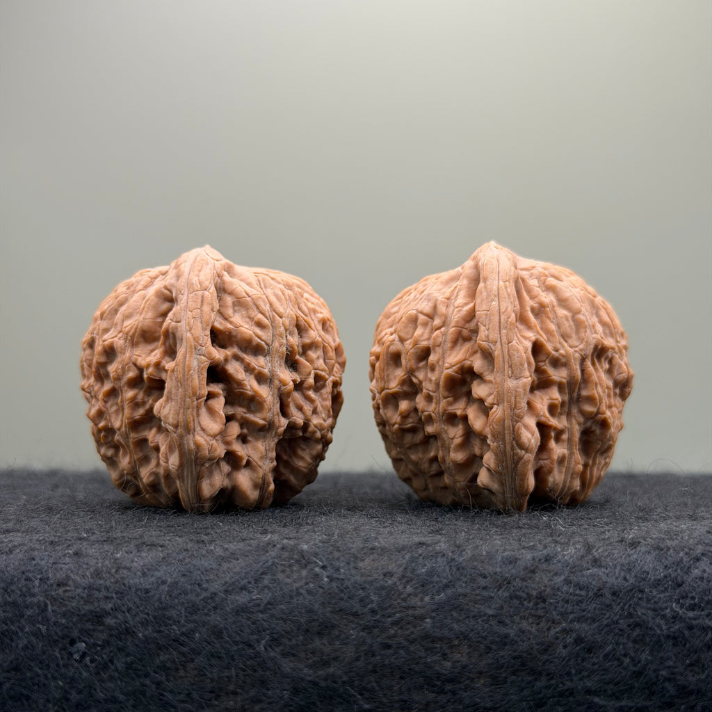 Hydrangea Wenwan Walnut · 40mm · Natural · Premium Ritual
