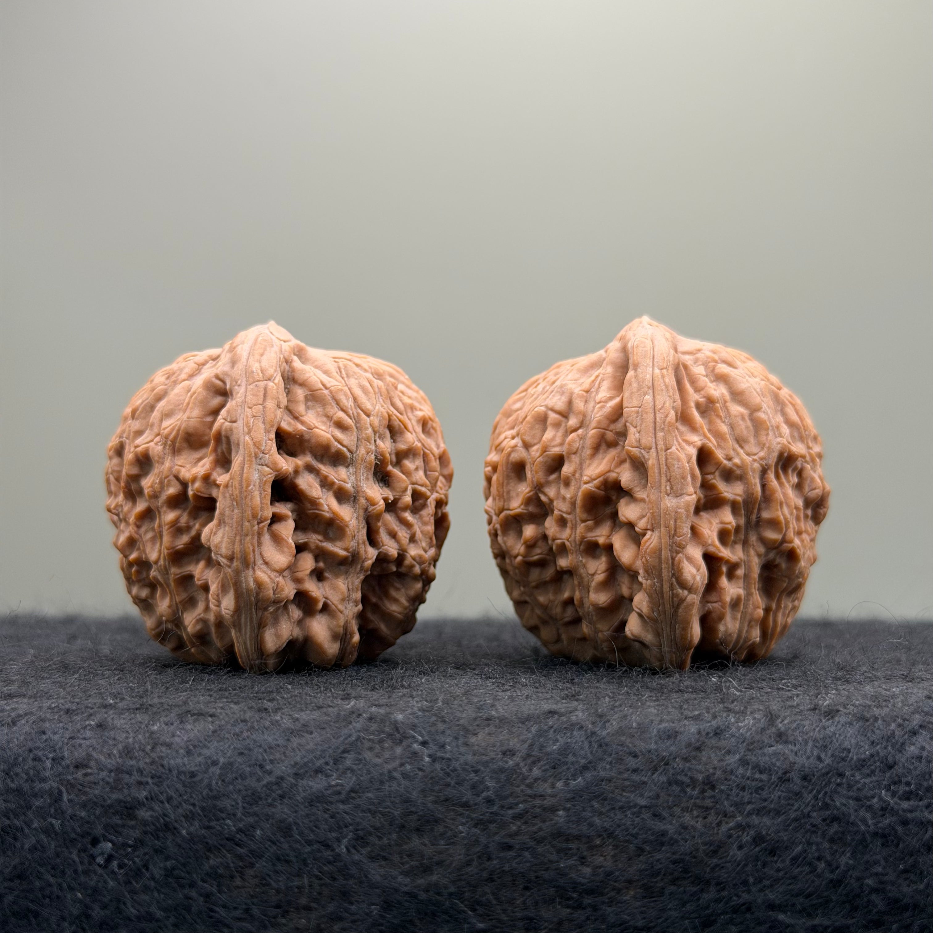 Hydrangea Wenwan Walnut · 40mm · Natural · Premium Ritual