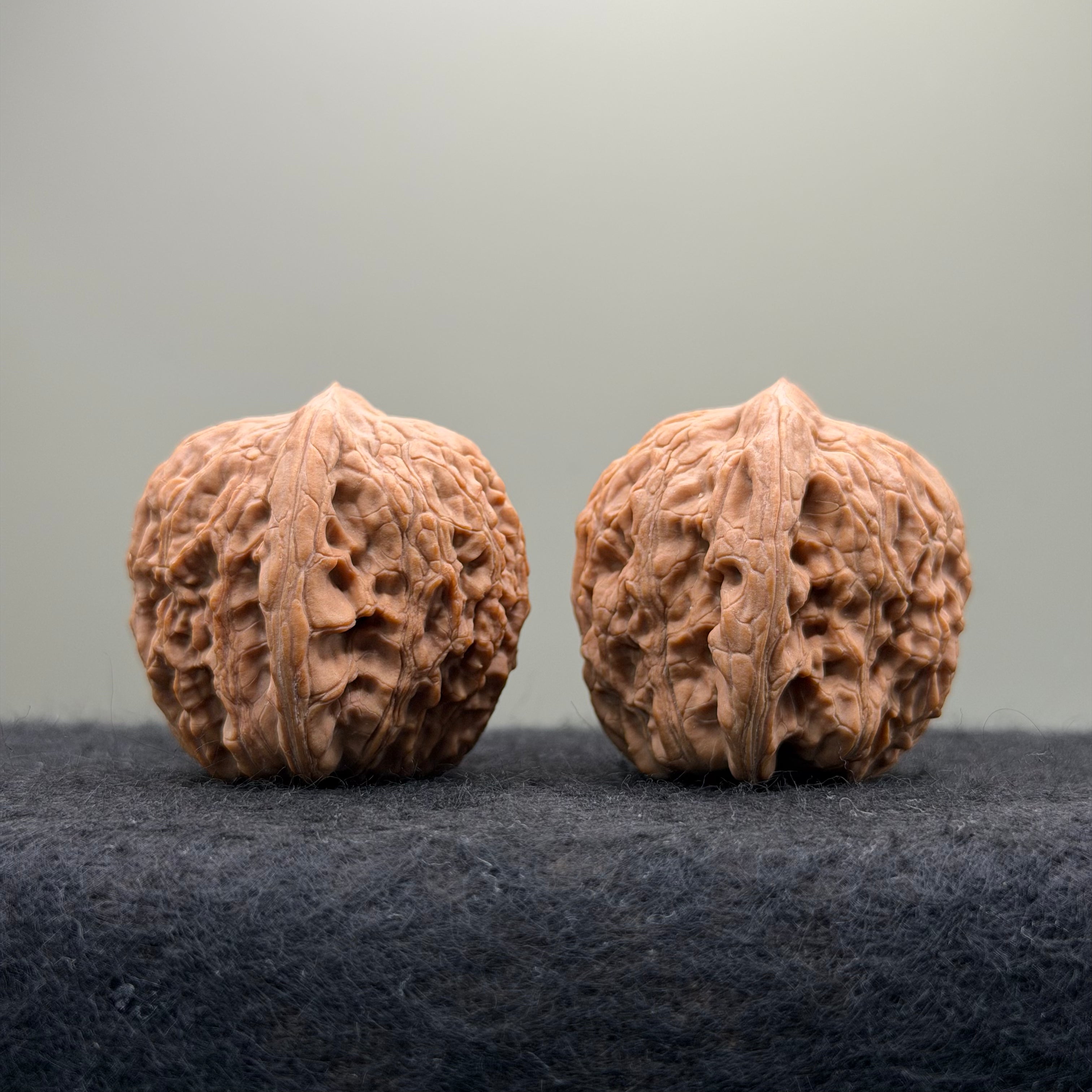 Hydrangea Wenwan Walnut · 40mm · Natural · Premium Ritual
