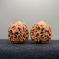 Plantain Fan Wenwan Walnut · 37mm · Natural · Select Ritual