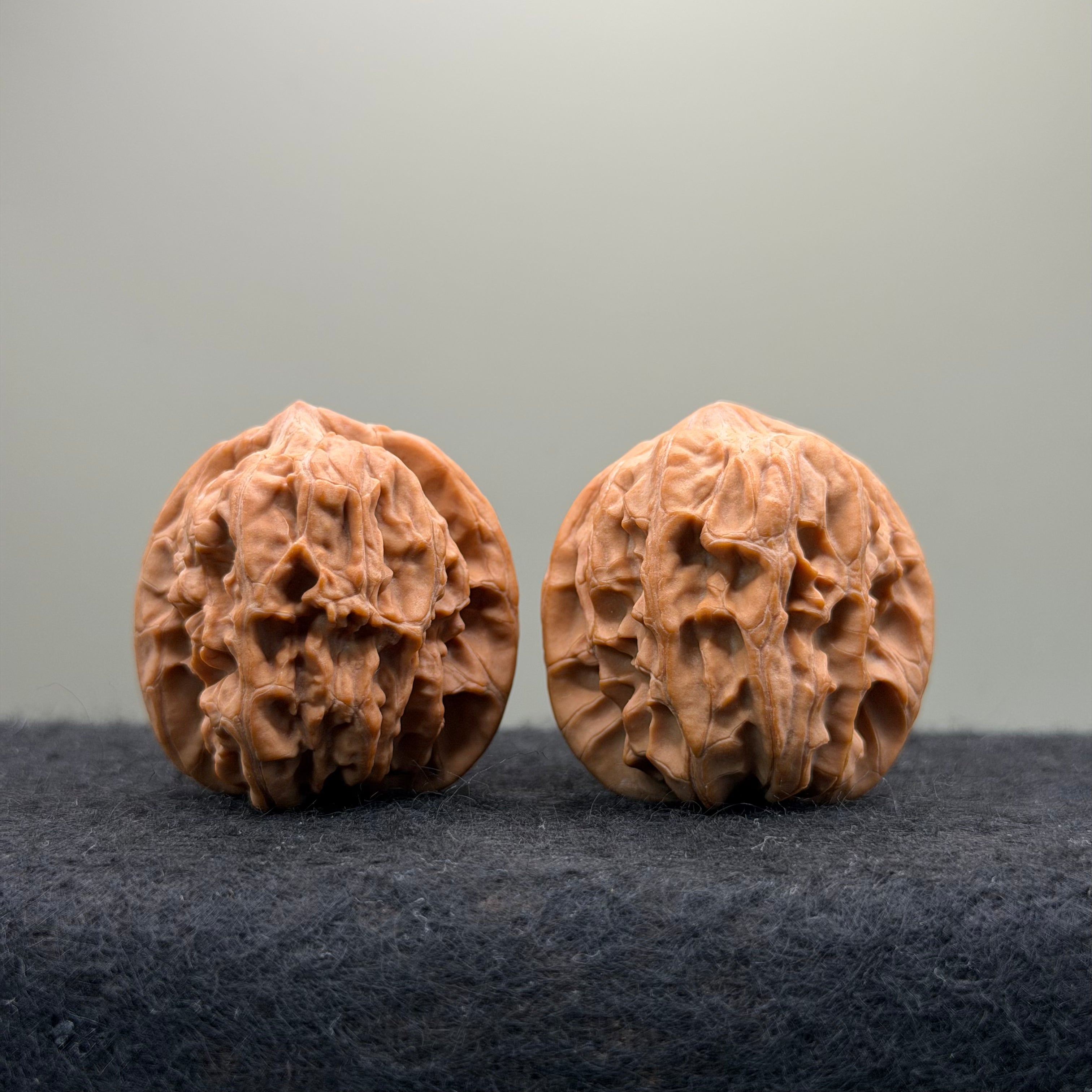 Plantain Fan Wenwan Walnut · 37mm · Natural · Select Ritual
