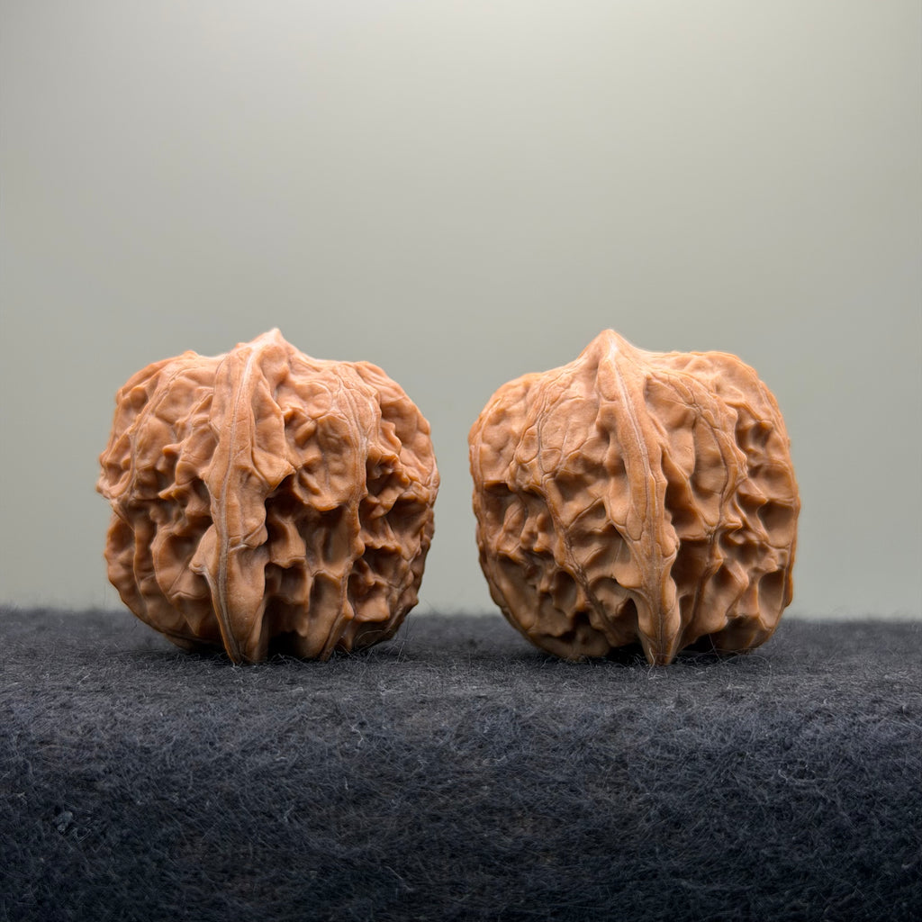 Plantain Fan Wenwan Walnut · 37mm · Natural · Select Ritual