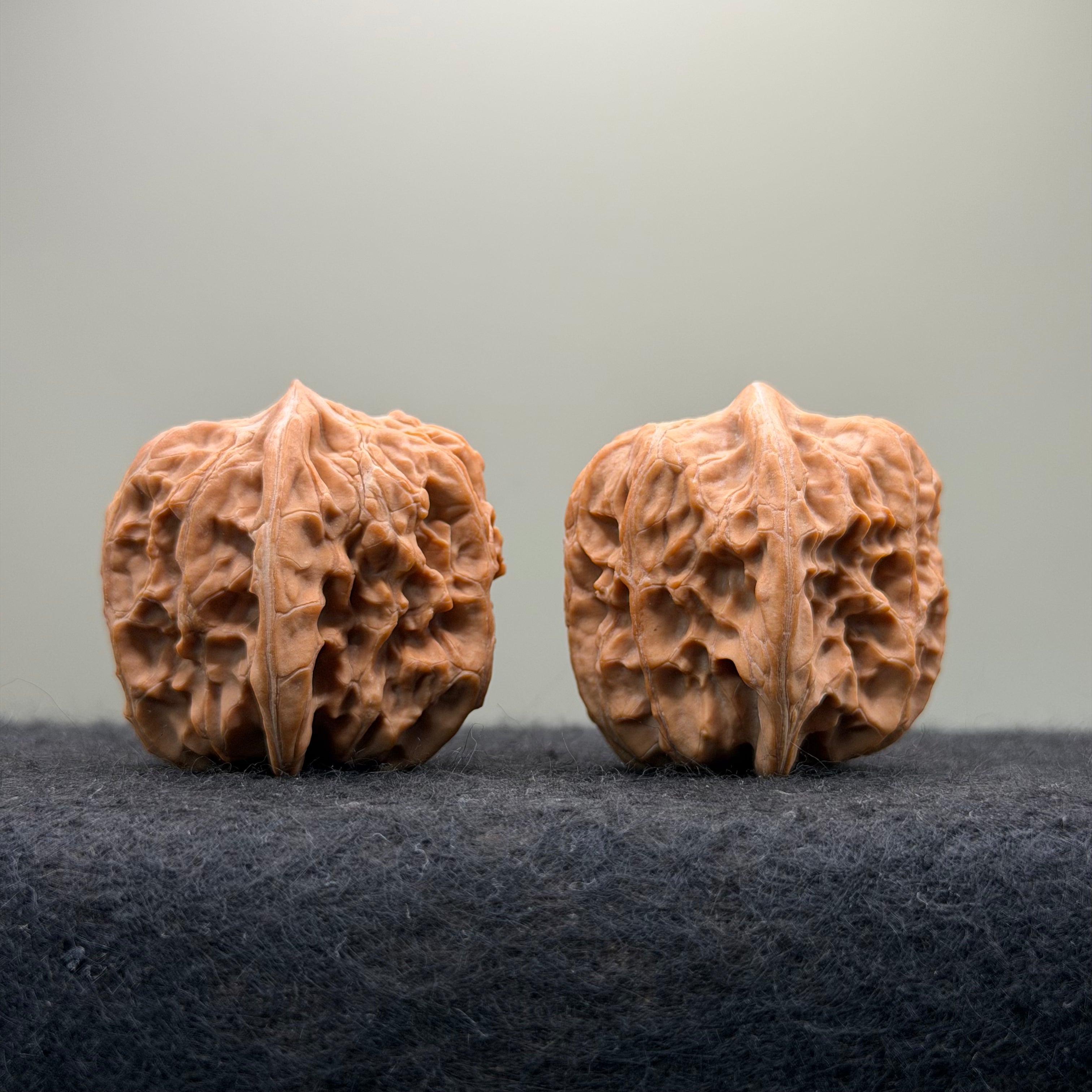 Plantain Fan Wenwan Walnut · 37mm · Natural · Select Ritual