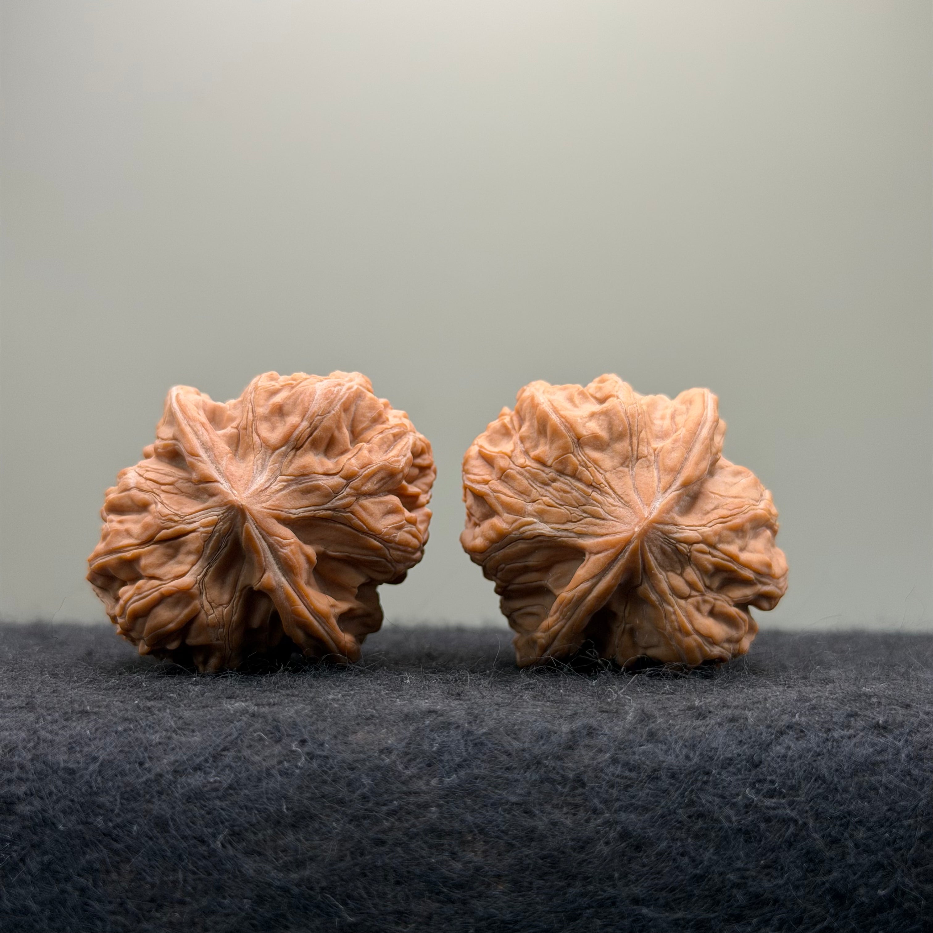 Plantain Fan Wenwan Walnut · 37mm · Natural · Select Ritual