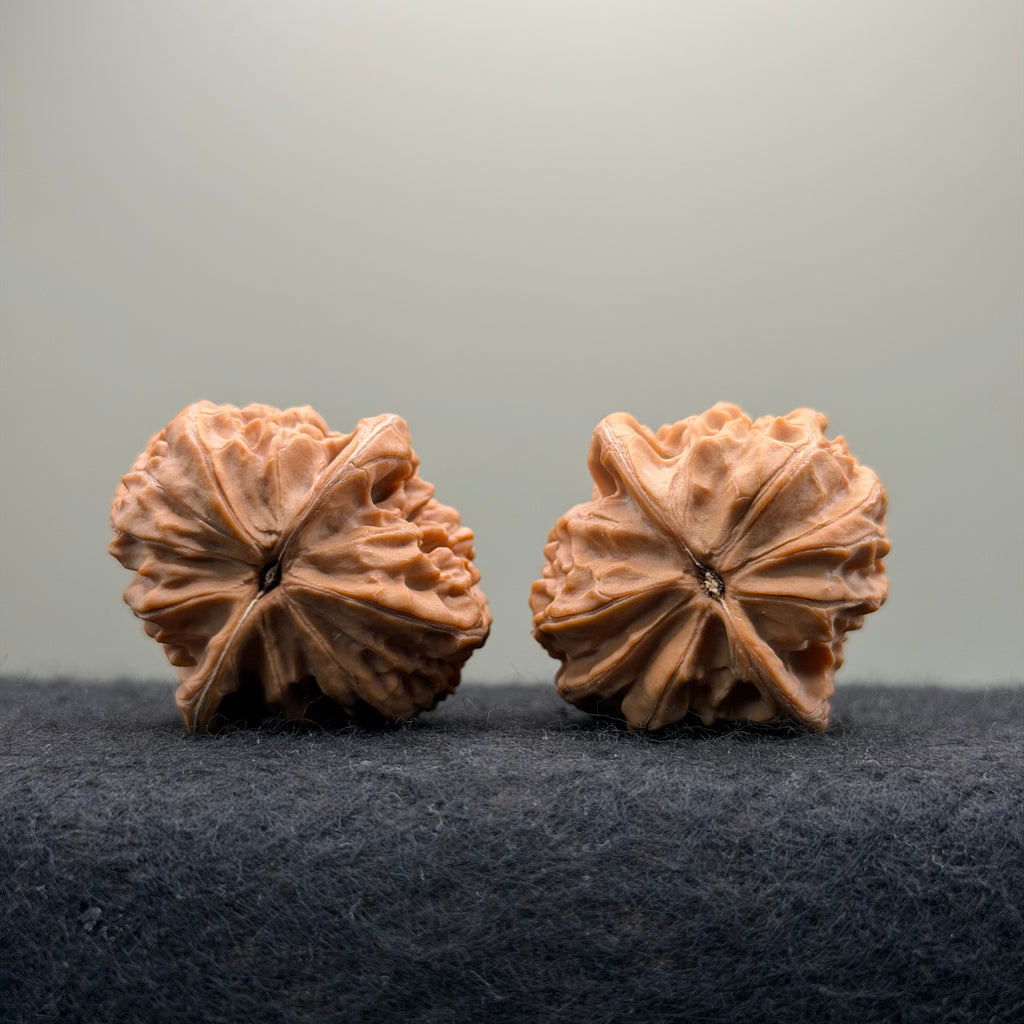 Plantain Fan Wenwan Walnut · 37mm · Natural · Select Ritual