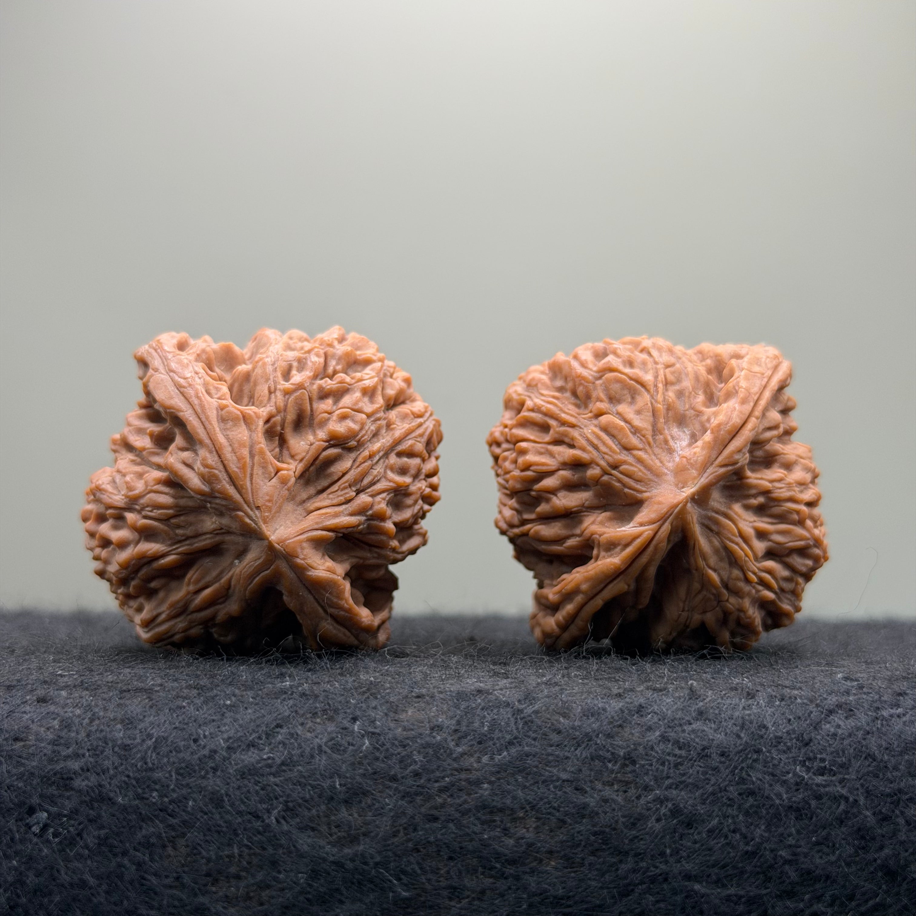Nanjiang Stone Wenwan Walnut · 37mm · Natural · Premium Ritual
