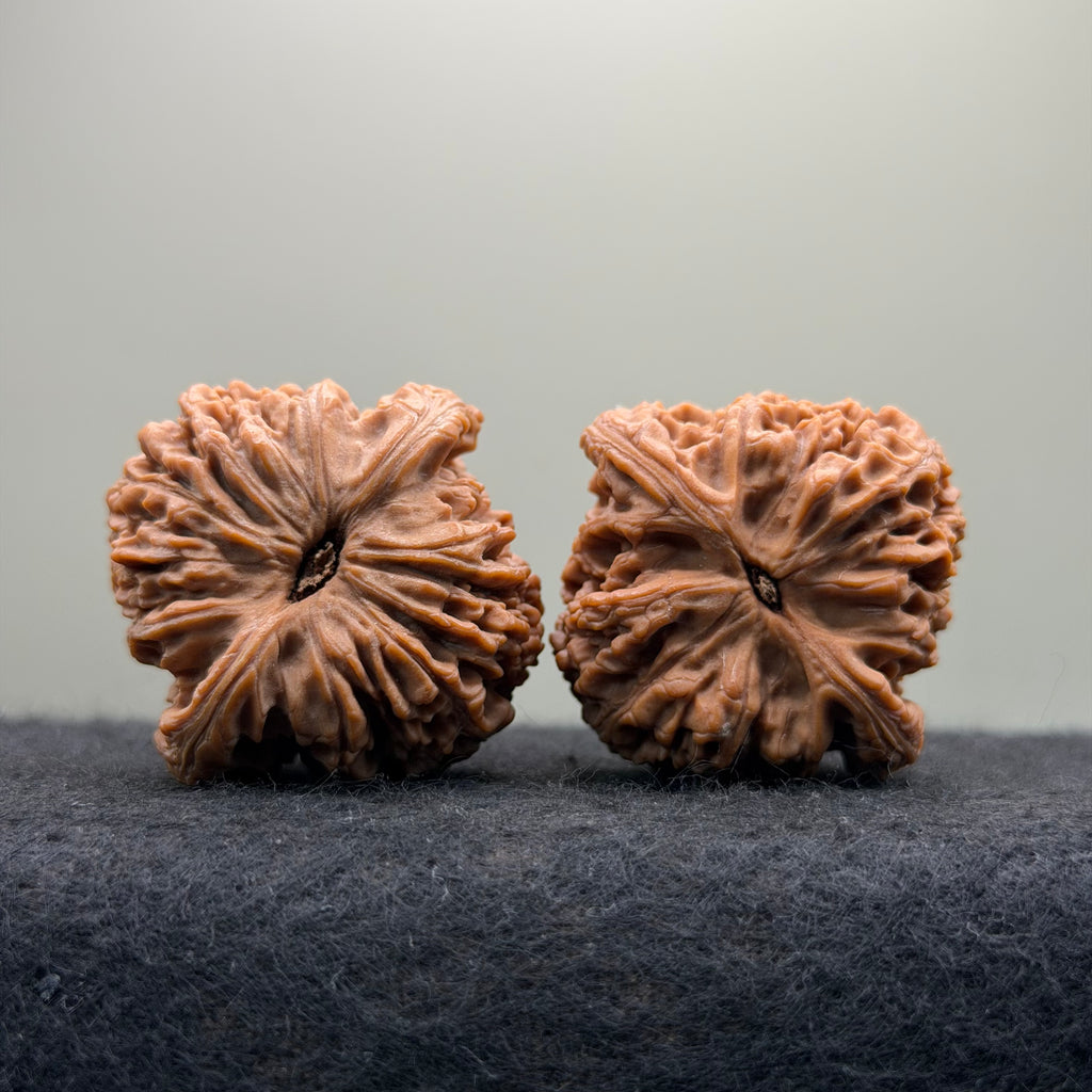 Nanjiang Stone Wenwan Walnut · 37mm · Natural · Premium Ritual