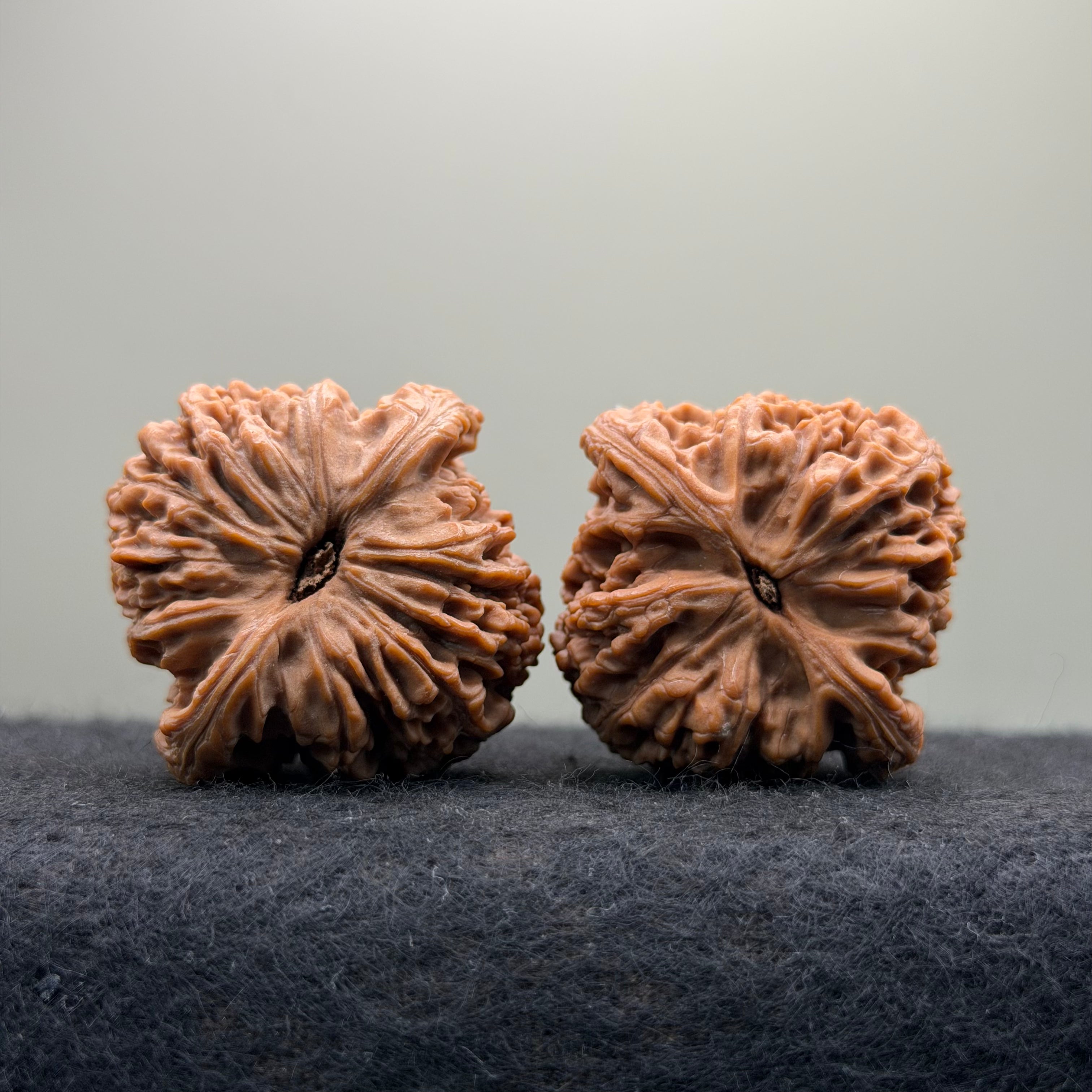 Nanjiang Stone Wenwan Walnut · 37mm · Natural · Premium Ritual