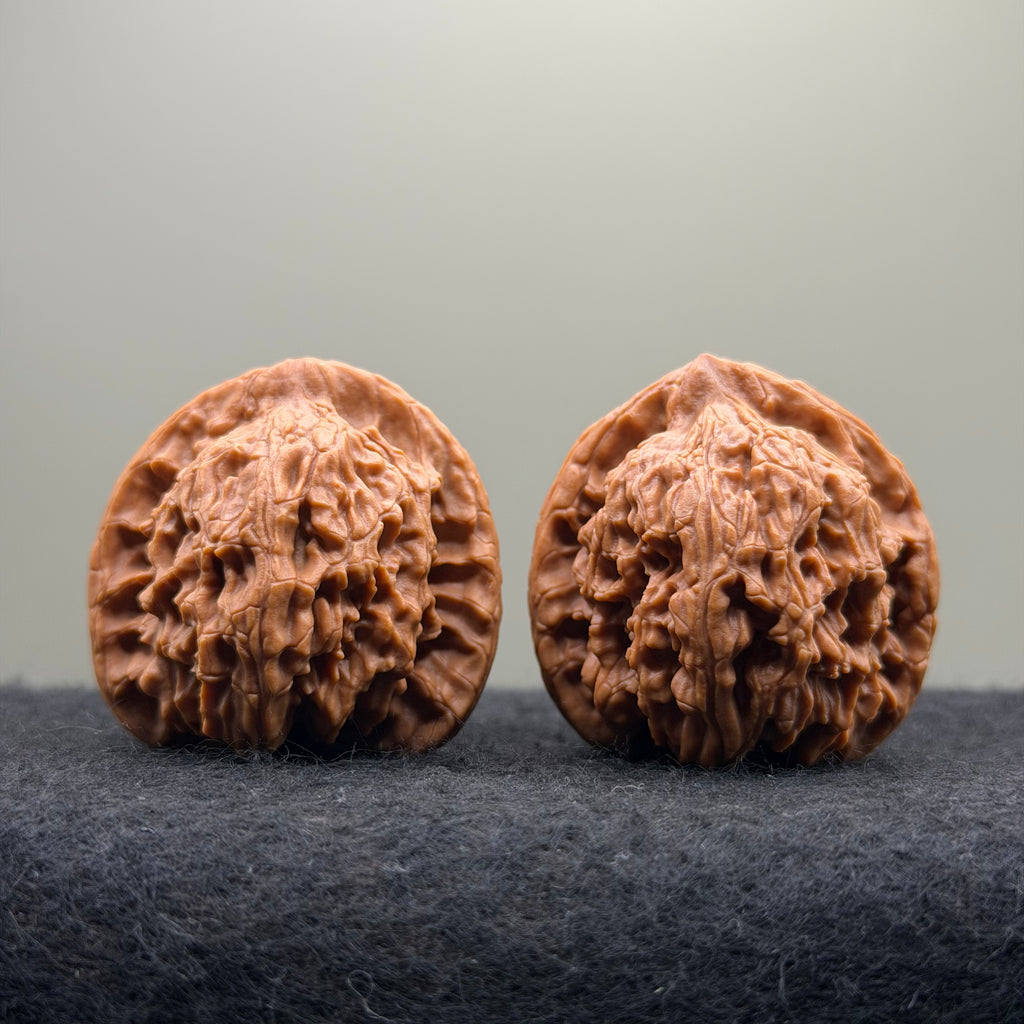 Red Lion Wenwan Walnut · 40mm · Natural · Select Ritual