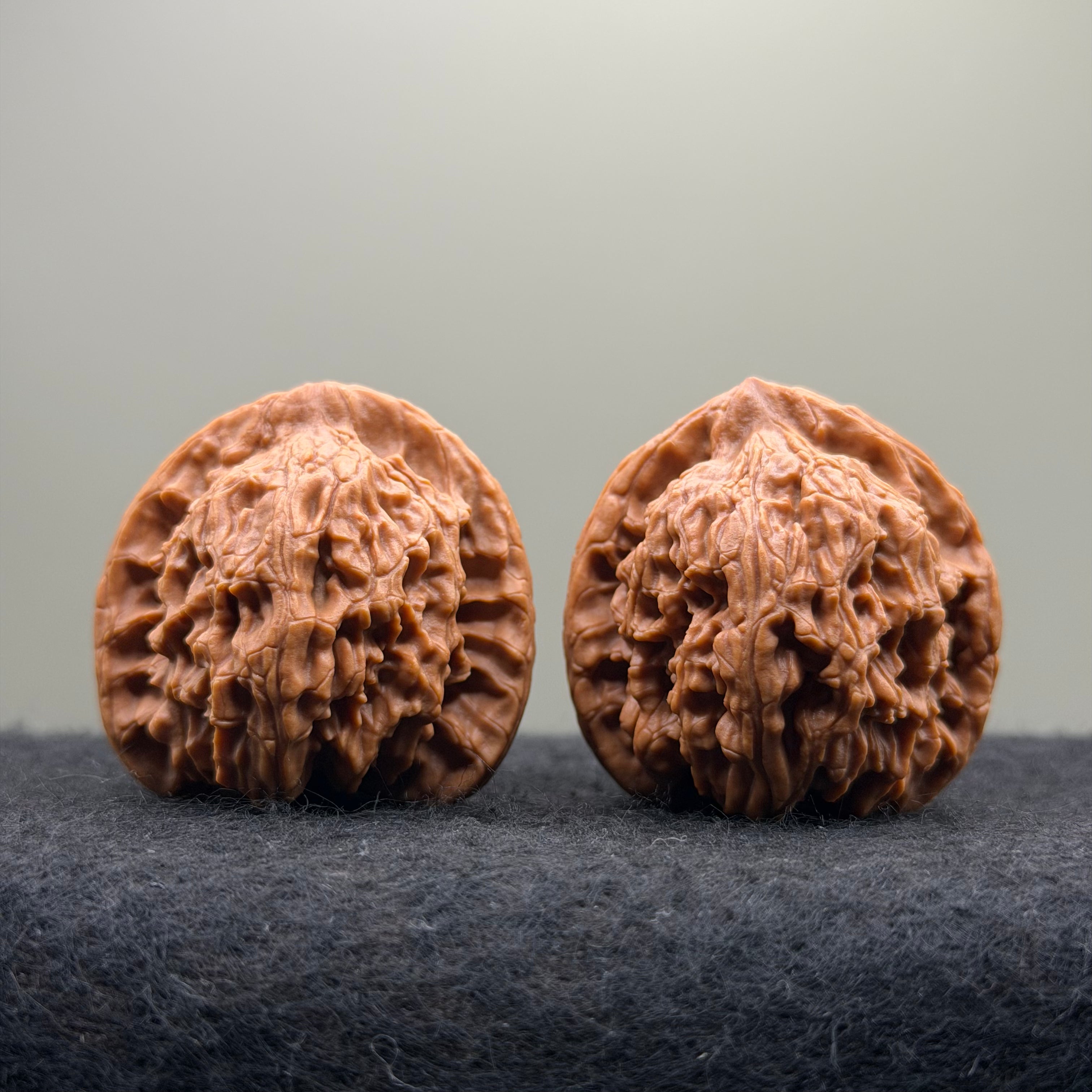 Red Lion Wenwan Walnut · 40mm · Natural · Select Ritual