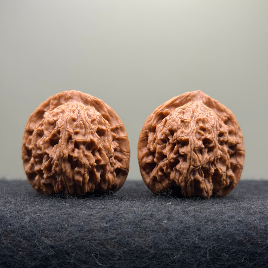 Red Lion Wenwan Walnut · 40mm · Natural · Select Ritual
