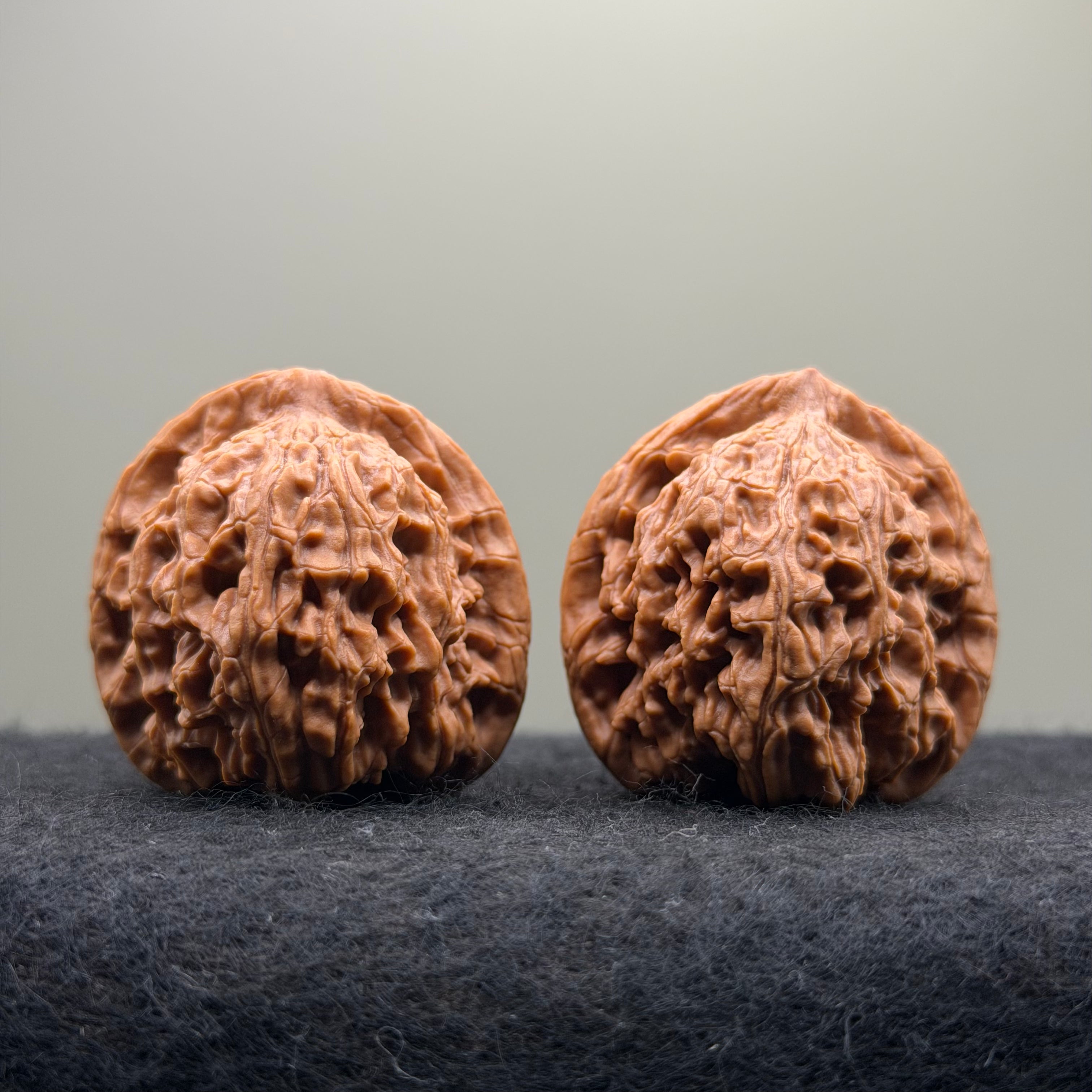 Red Lion Wenwan Walnut · 40mm · Natural · Select Ritual