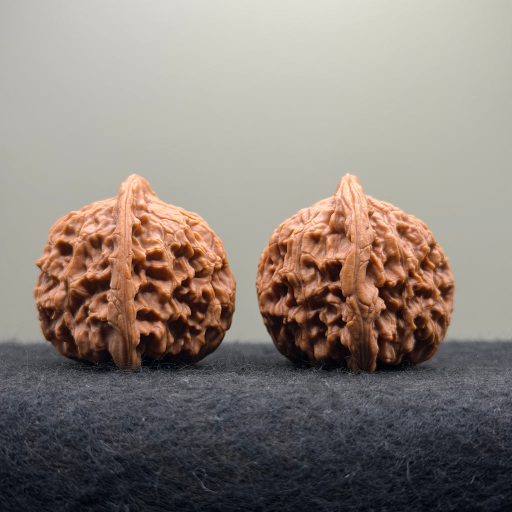 Red Lion Wenwan Walnut · 40mm · Natural · Select Ritual