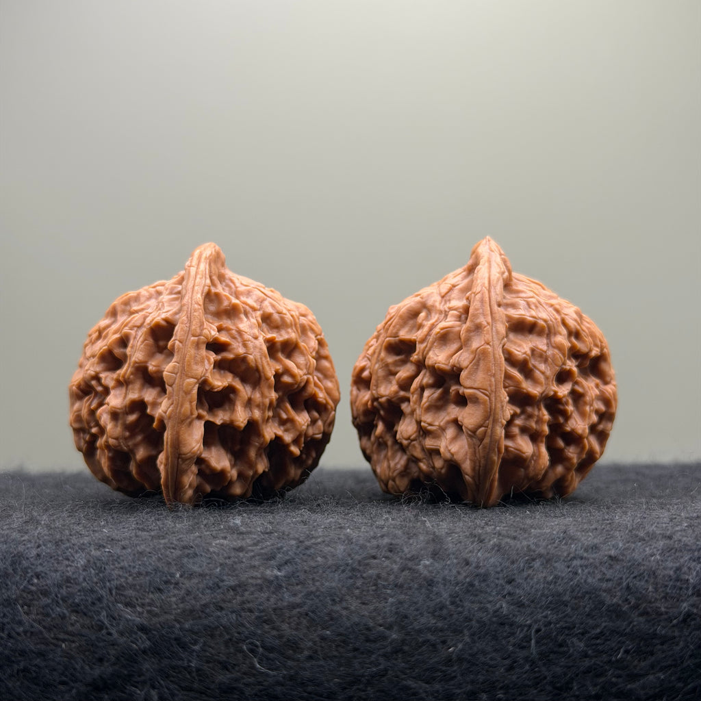 Red Lion Wenwan Walnut · 40mm · Natural · Select Ritual