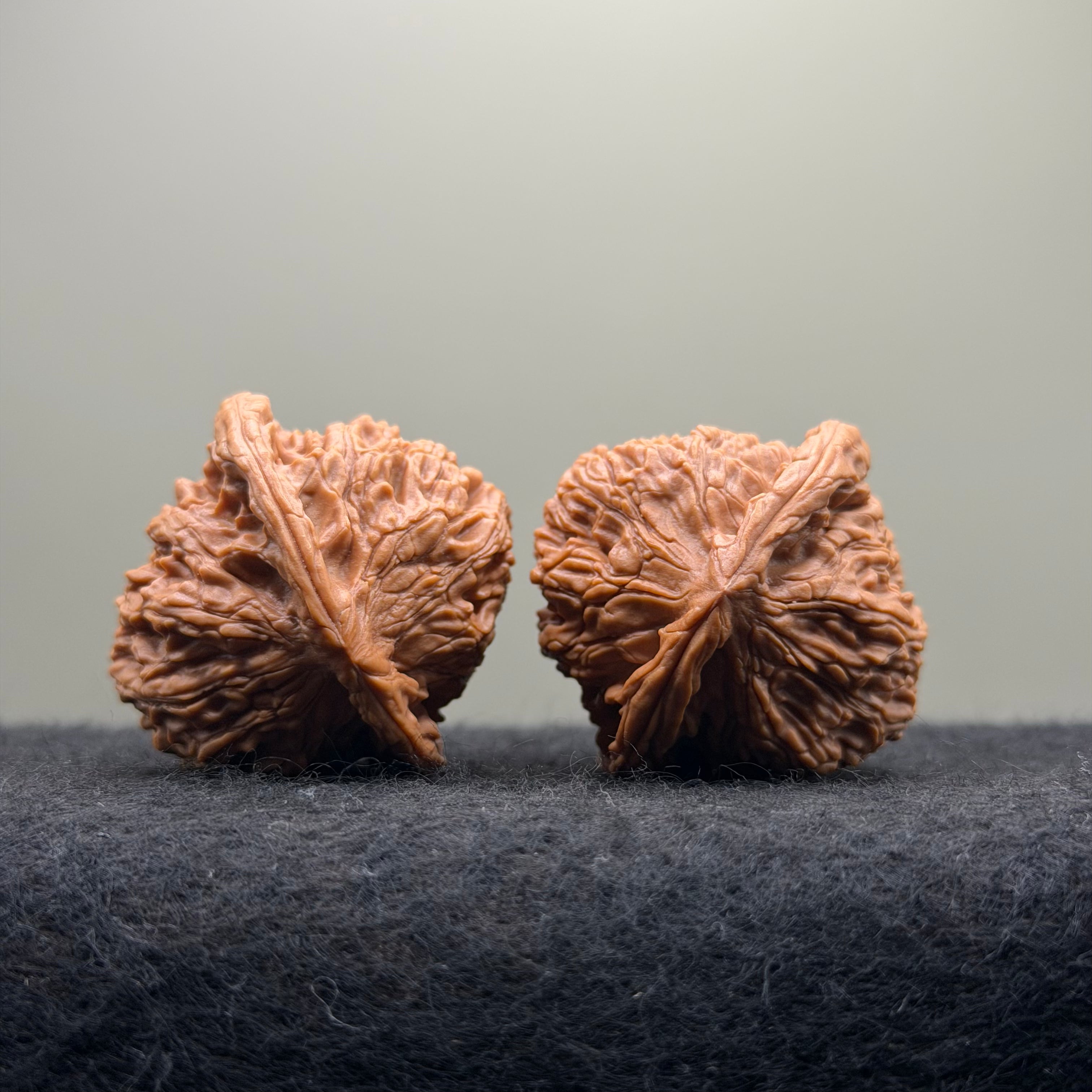 Red Lion Wenwan Walnut · 40mm · Natural · Select Ritual