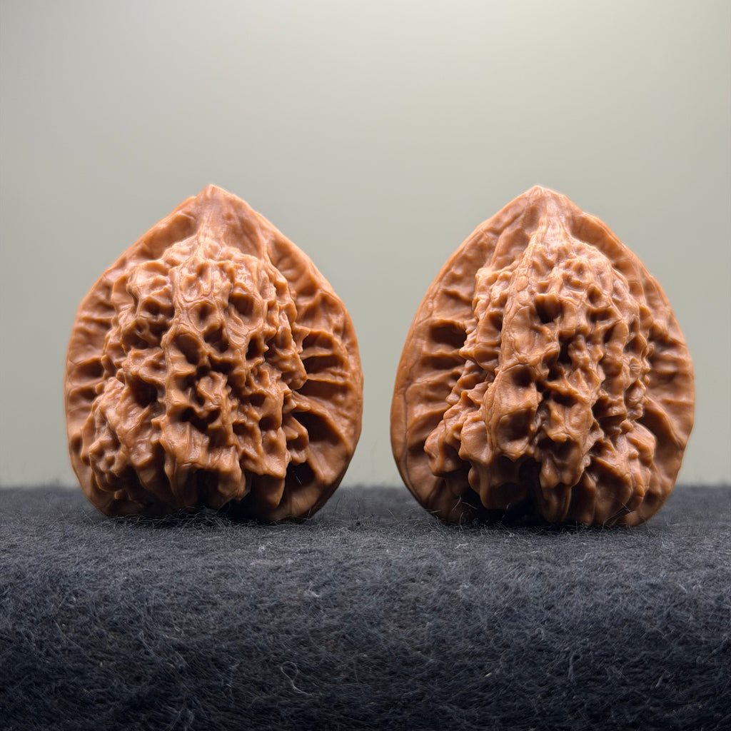 Arhat Head Wenwan Walnut · 40mm · Select Ritual