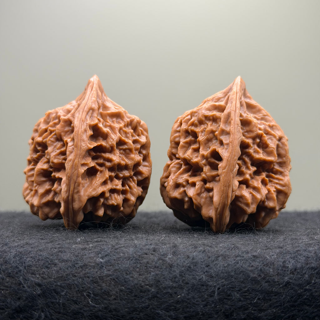 Arhat Head Wenwan Walnut · 40mm · Select Ritual