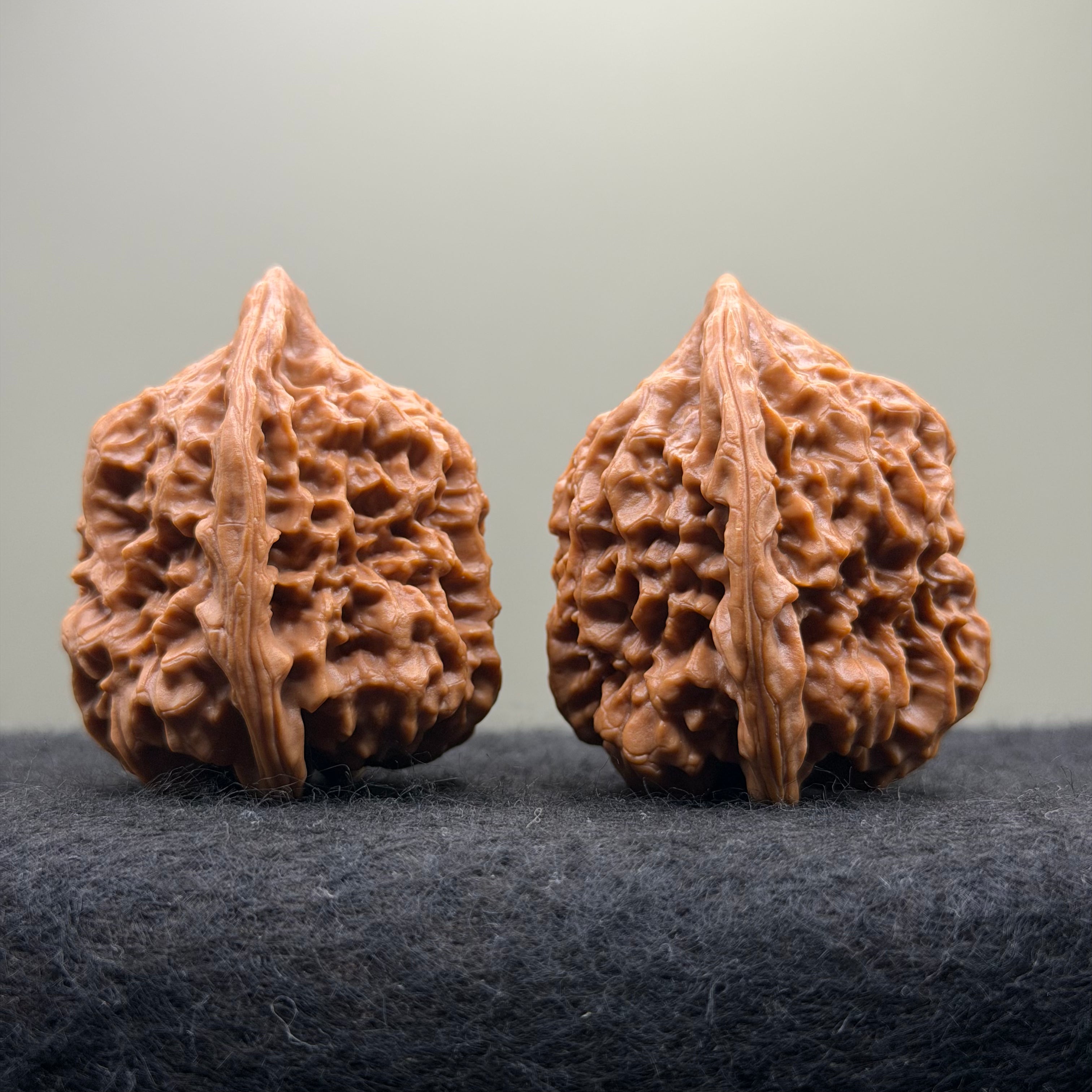 Arhat Head Wenwan Walnut · 40mm · Select Ritual
