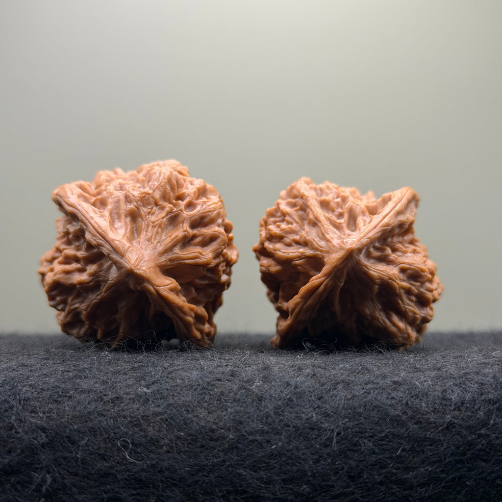 Arhat Head Wenwan Walnut · 40mm · Select Ritual