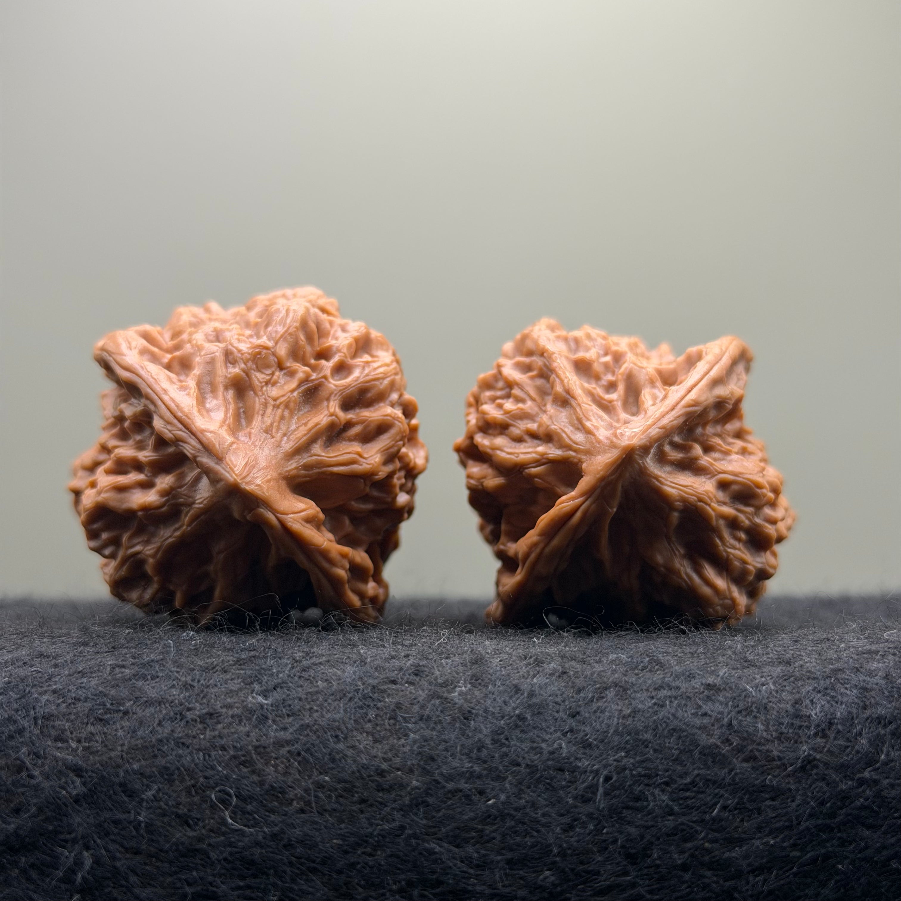 Arhat Head Wenwan Walnut · 40mm · Select Ritual