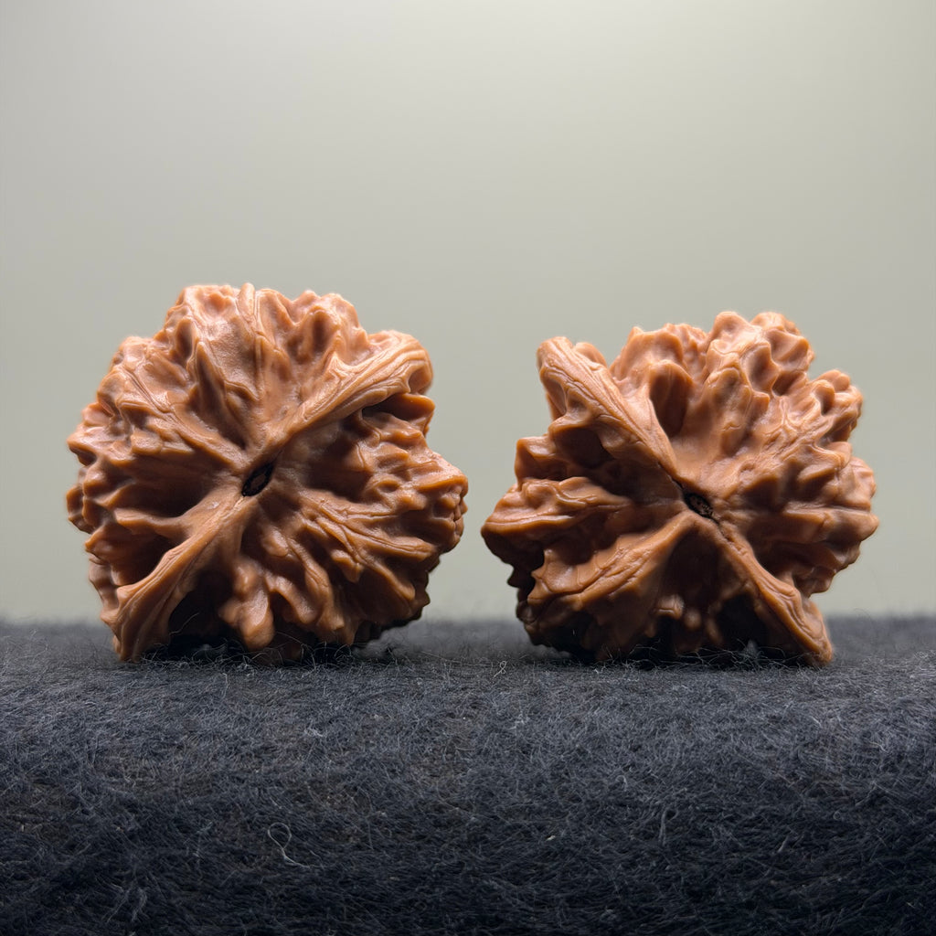 Arhat Head Wenwan Walnut · 40mm · Select Ritual
