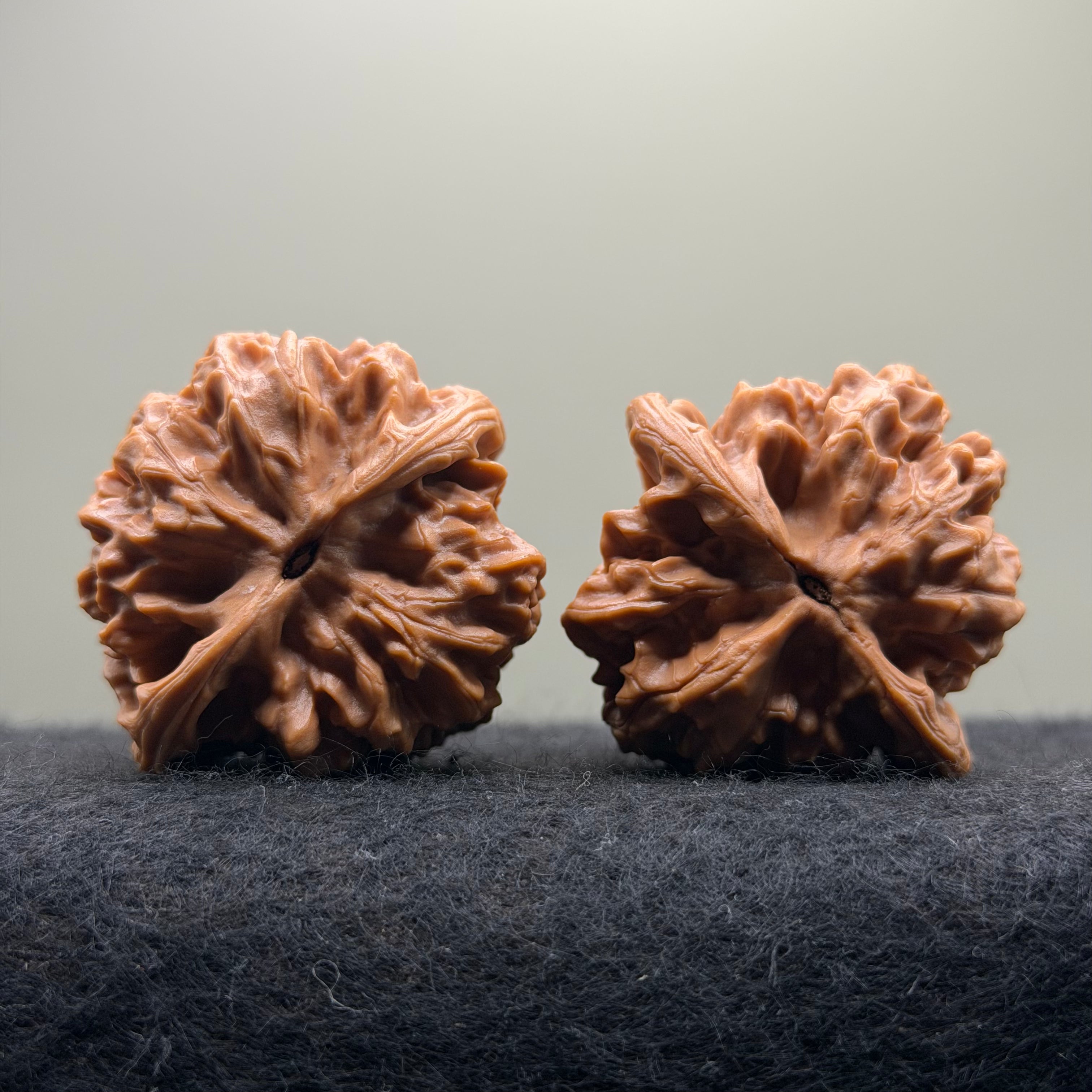 Arhat Head Wenwan Walnut · 40mm · Select Ritual