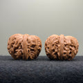 Ingot Wenwan Walnut · 41mm · Select Ritual