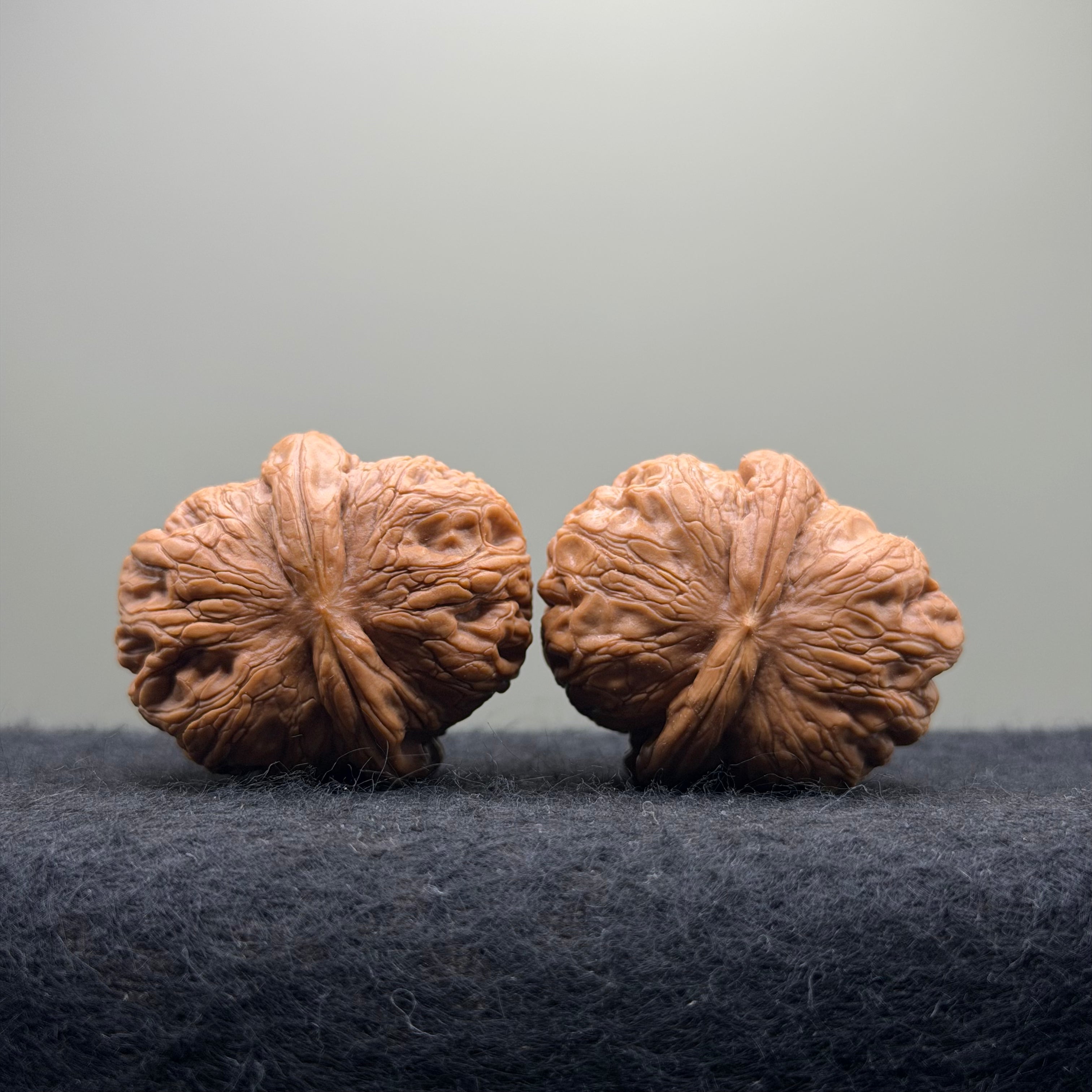 Ingot Wenwan Walnut · 41mm · Select Ritual