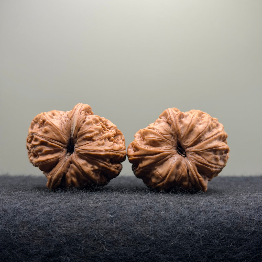 Ingot Wenwan Walnut · 41mm · Select Ritual
