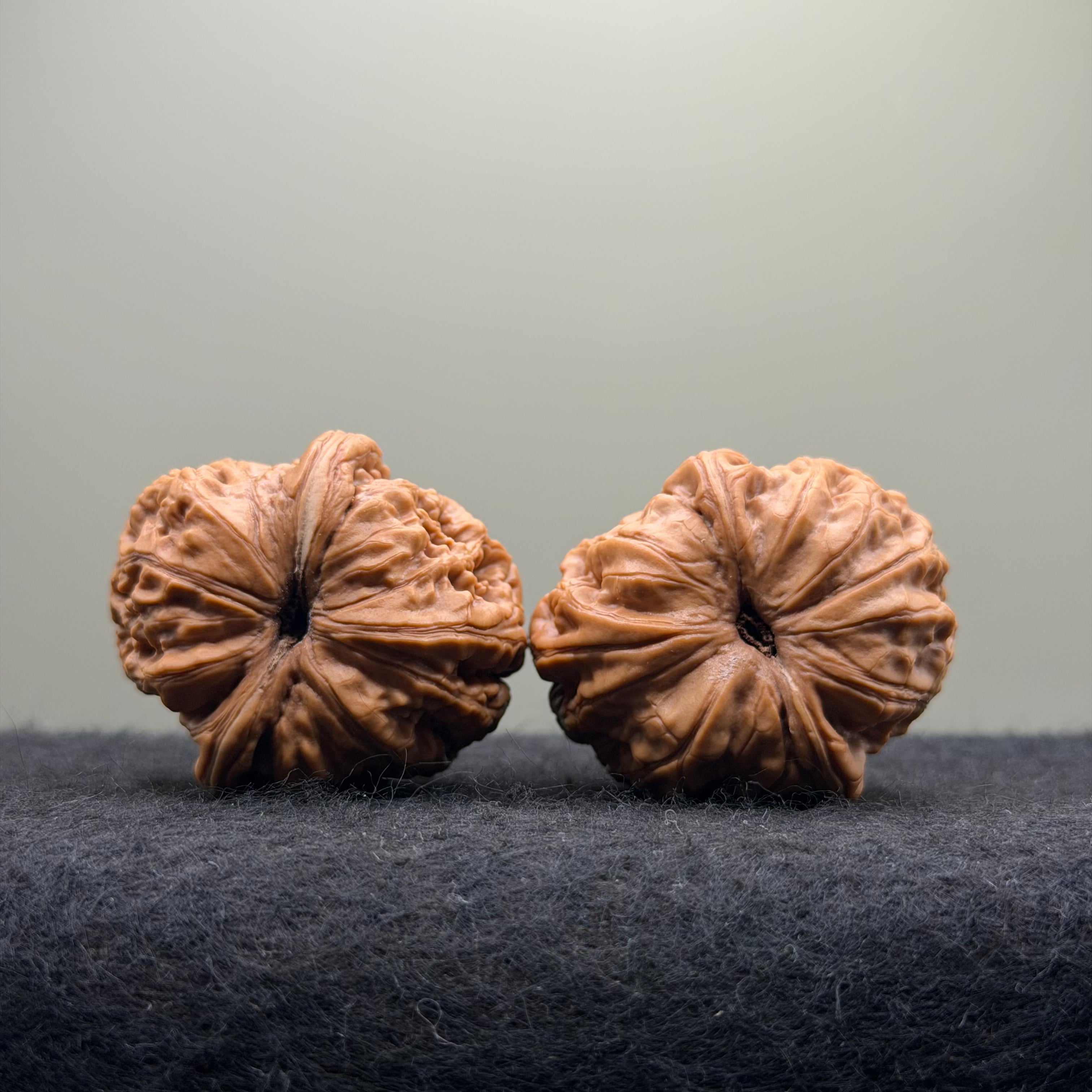 Ingot Wenwan Walnut · 41mm · Select Ritual