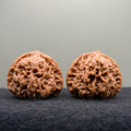Pinggu Concave-Base Wenwan Walnut · 40mm · Select Ritual