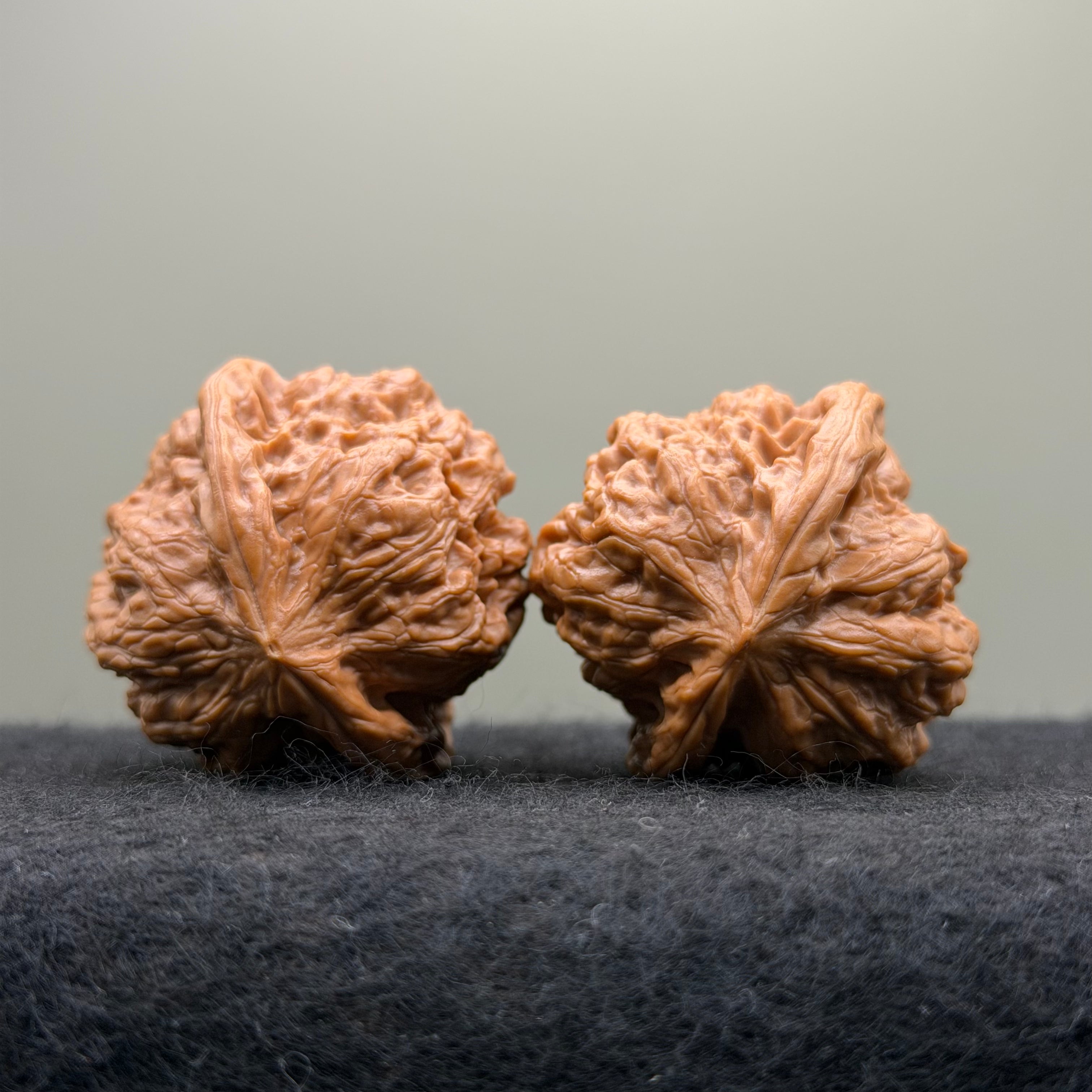 Pinggu Concave-Base Wenwan Walnut · 40mm · Select Ritual