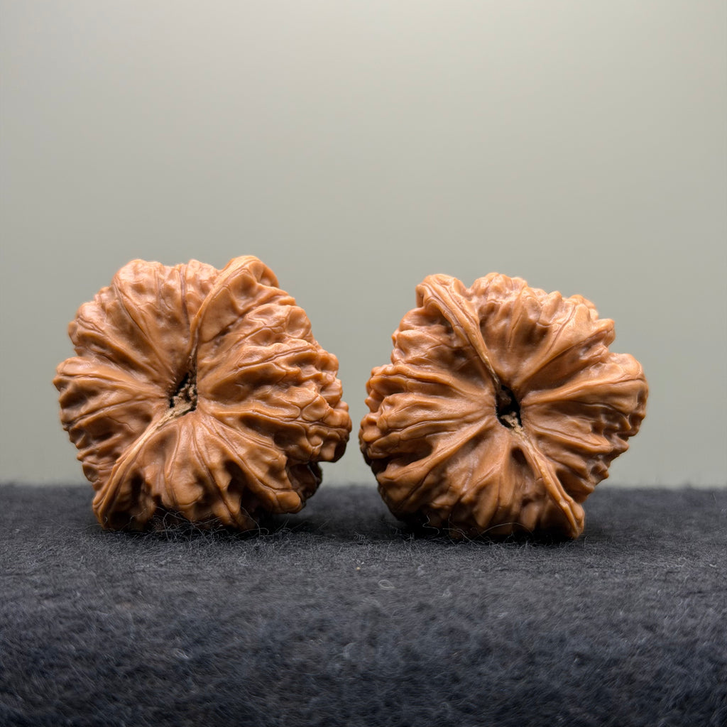 Pinggu Concave-Base Wenwan Walnut · 40mm · Select Ritual