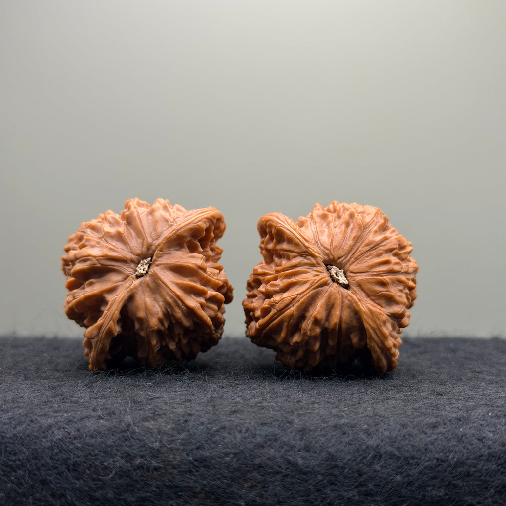 Millstone Wenwan Walnut · 41mm · Natural · Select Ritual