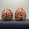 Official Hat Wenwan Walnut · 44mm · Natural · Entry Ritual
