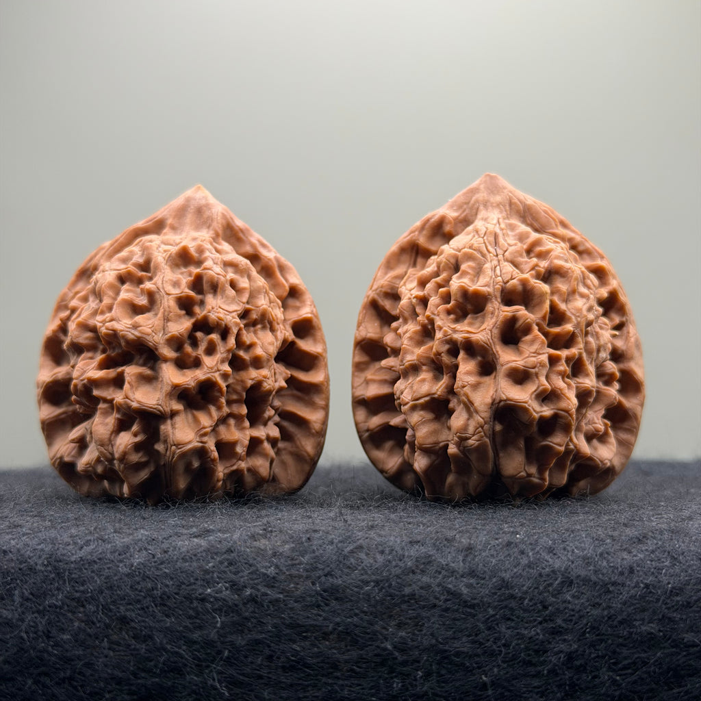 Official Hat Wenwan Walnut · 44mm · Natural · Entry Ritual