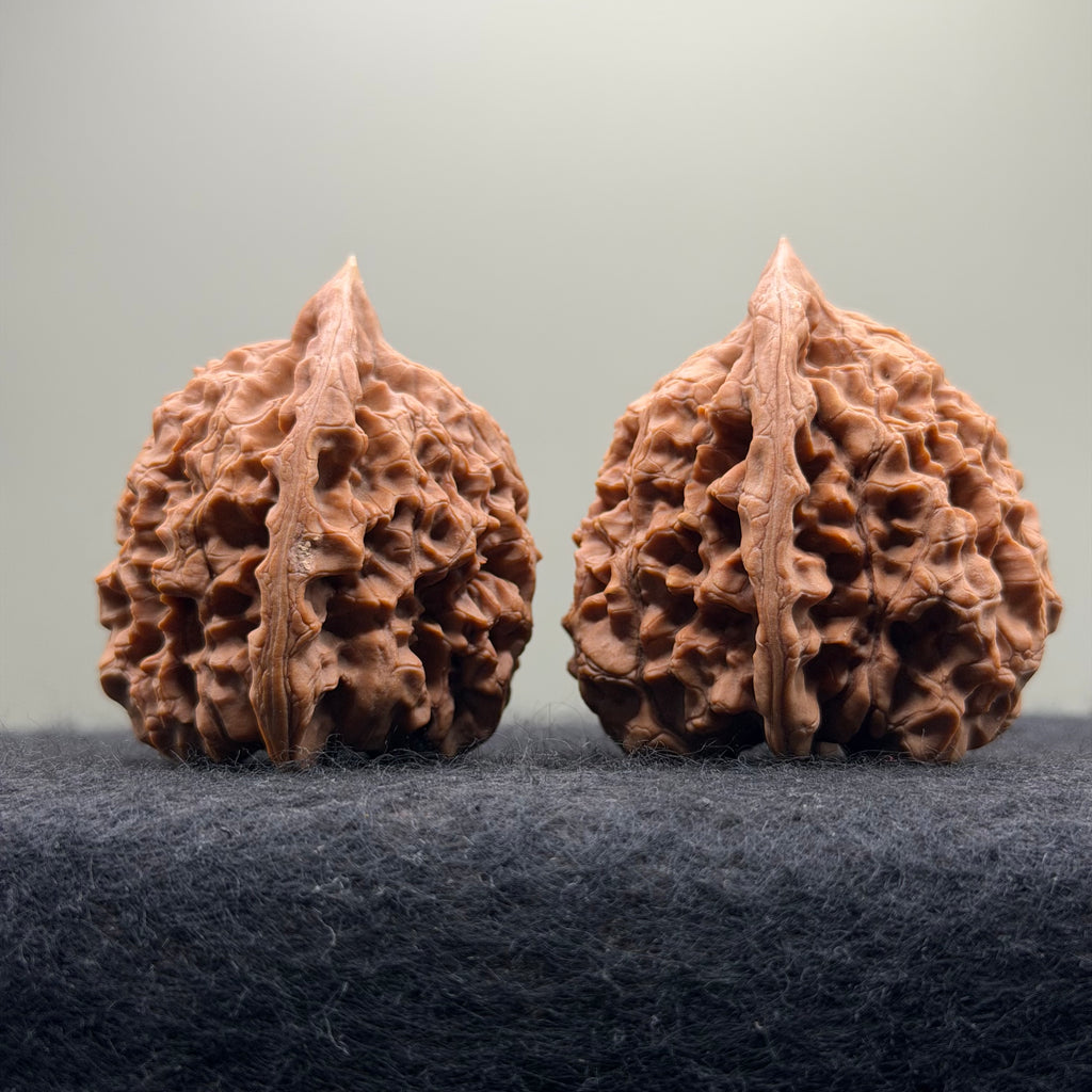 Official Hat Wenwan Walnut · 44mm · Natural · Entry Ritual