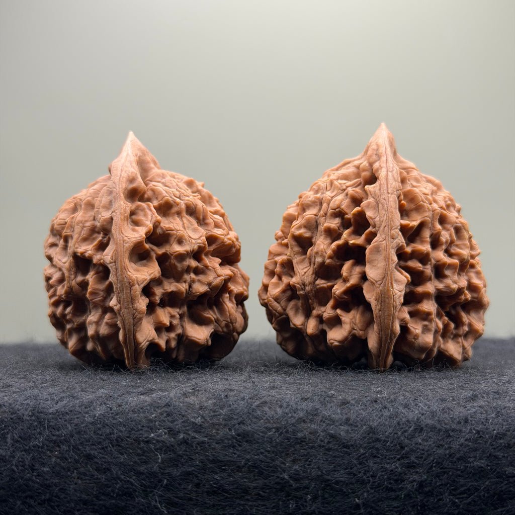 Official Hat Wenwan Walnut · 44mm · Natural · Entry Ritual