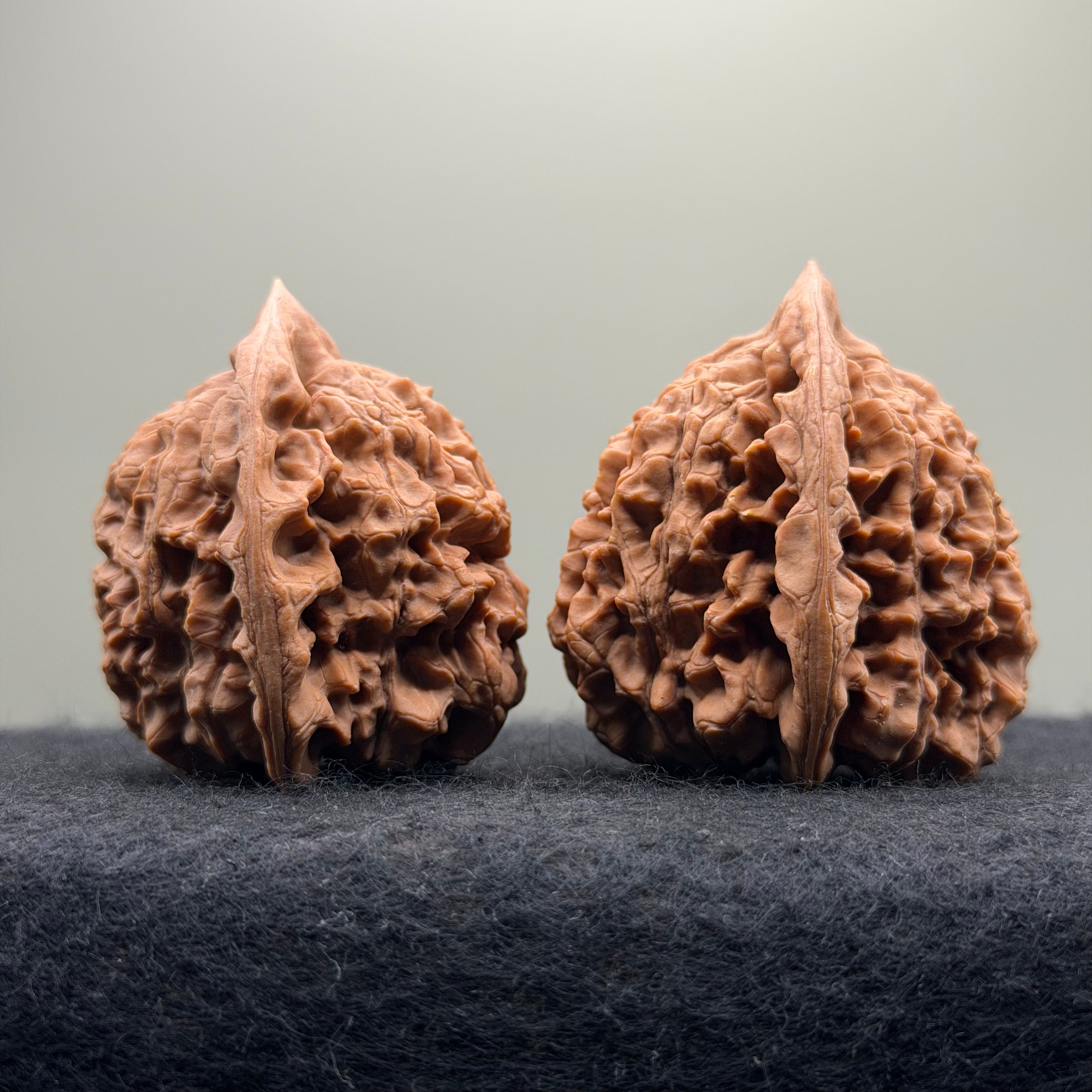 Official Hat Wenwan Walnut · 44mm · Natural · Entry Ritual