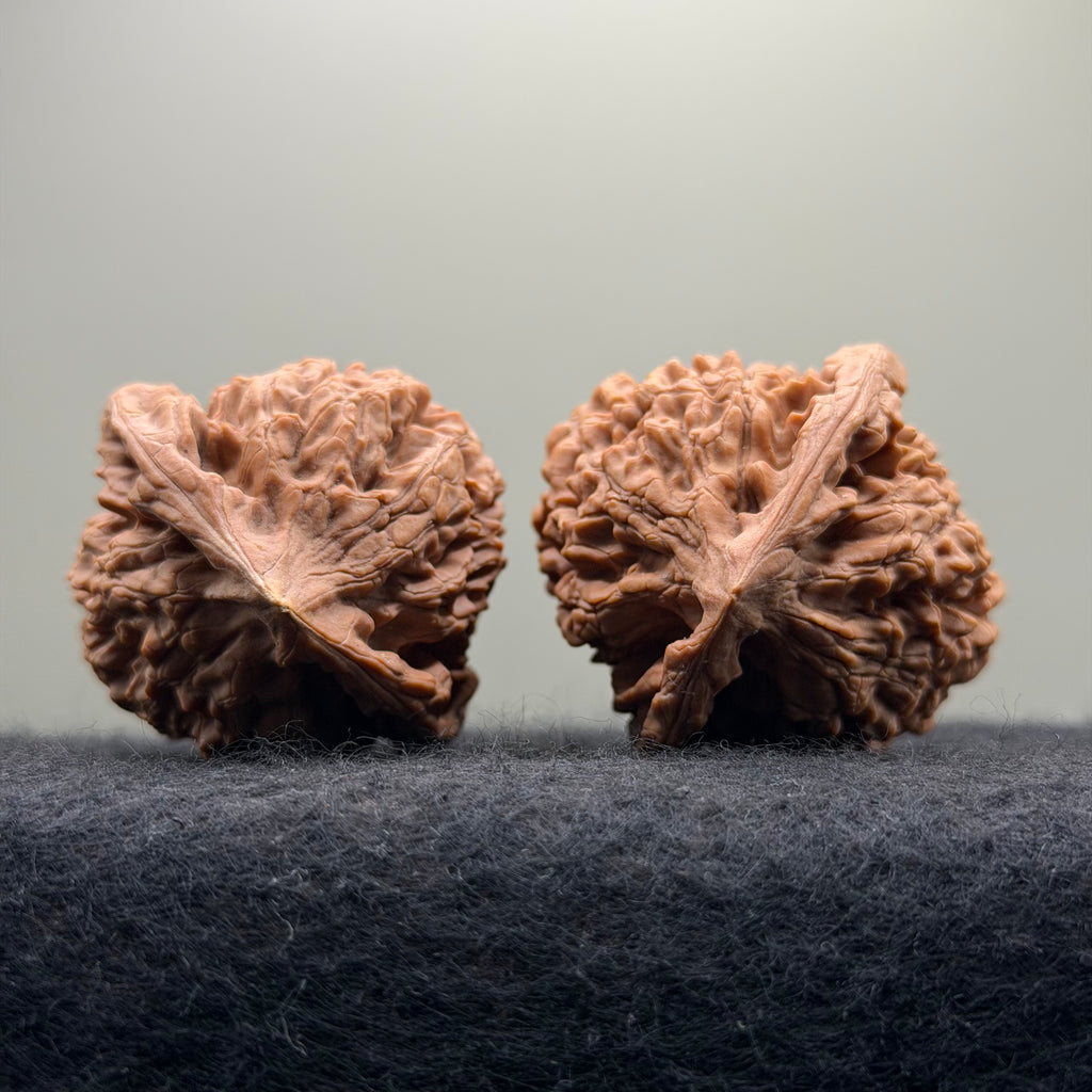 Official Hat Wenwan Walnut · 44mm · Natural · Entry Ritual