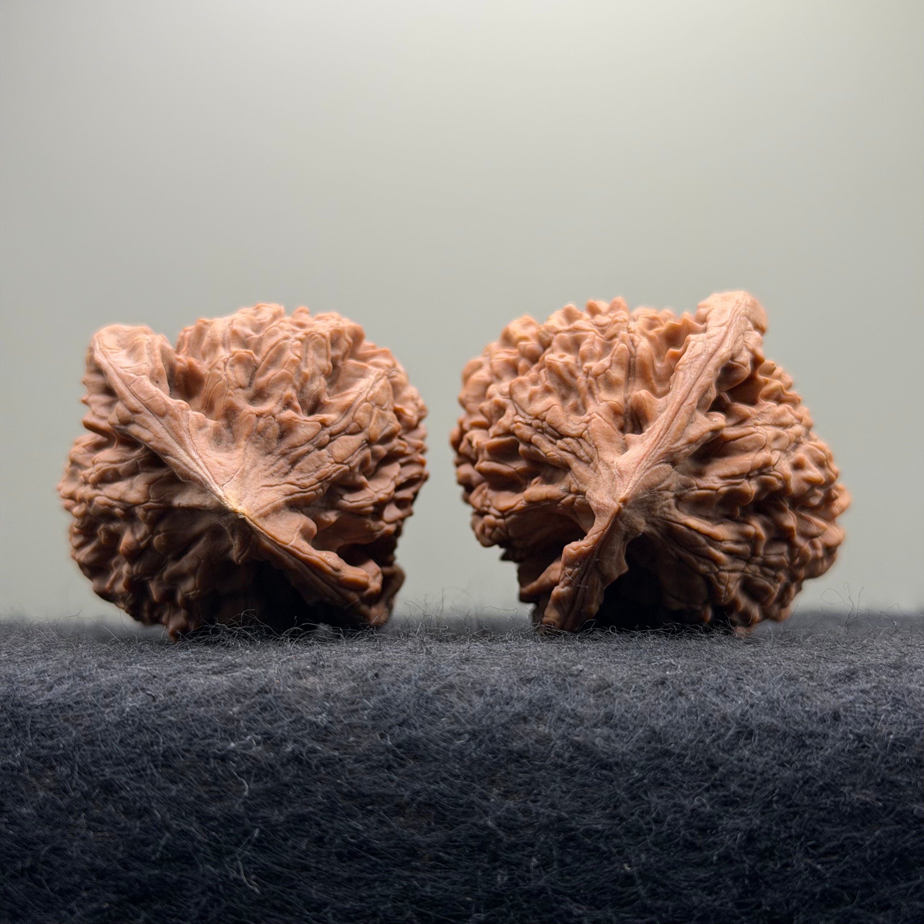 Official Hat Wenwan Walnut · 44mm · Natural · Entry Ritual