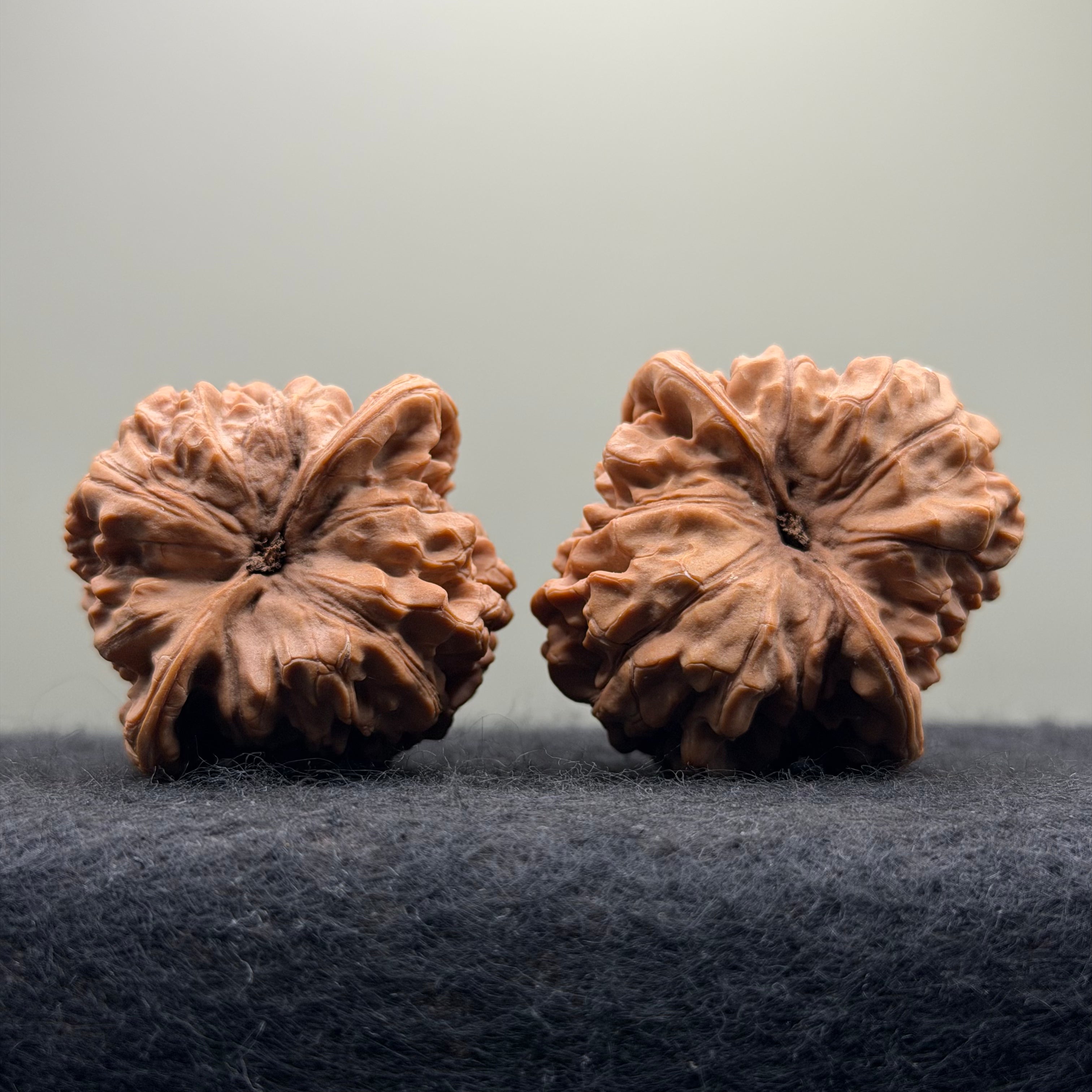 Official Hat Wenwan Walnut · 44mm · Natural · Entry Ritual
