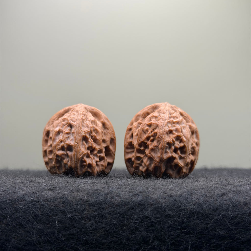 Dragon Pearl Wenwan Walnut  · 31mm · Natural · Select Ritual