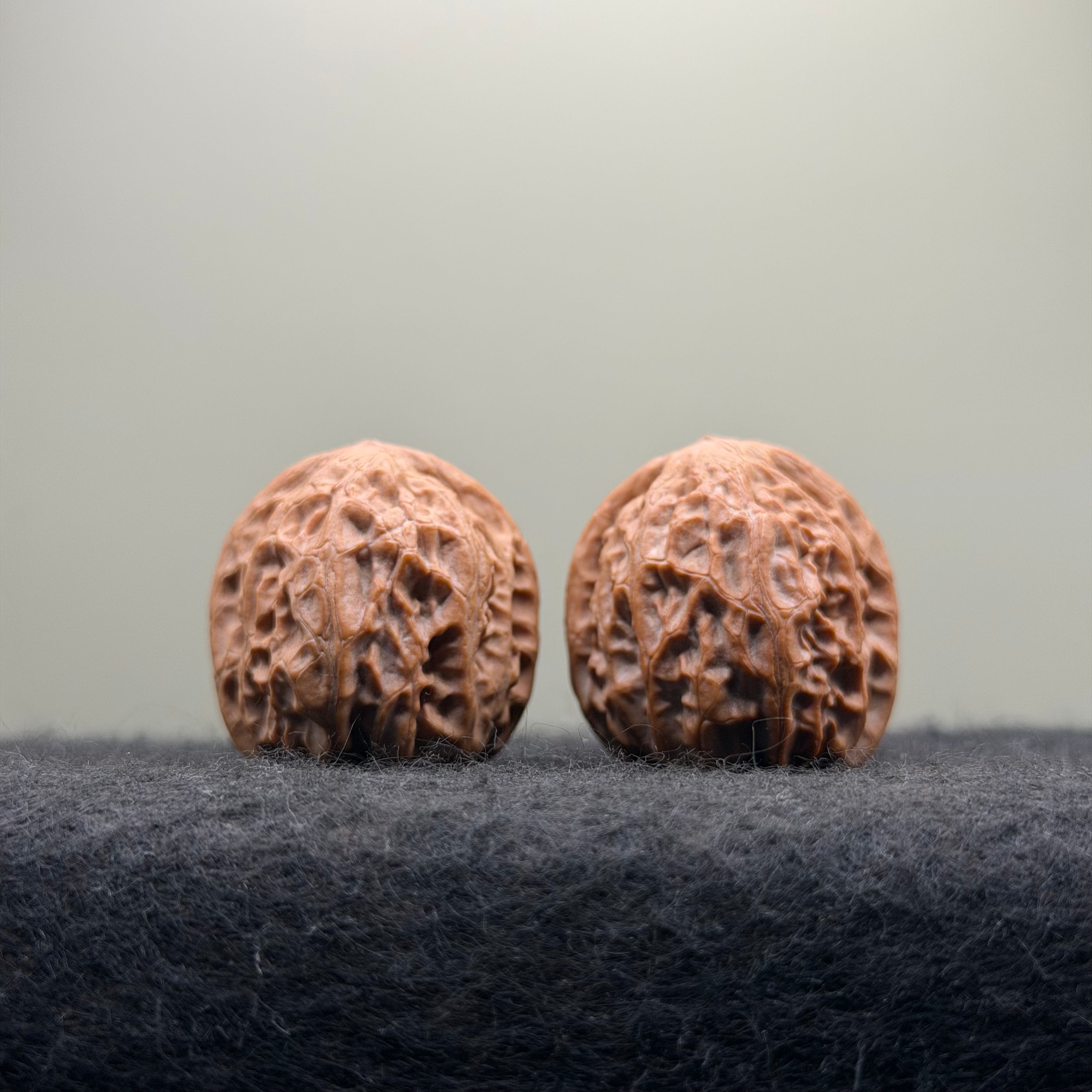 Dragon Pearl Wenwan Walnut  · 31mm · Natural · Select Ritual