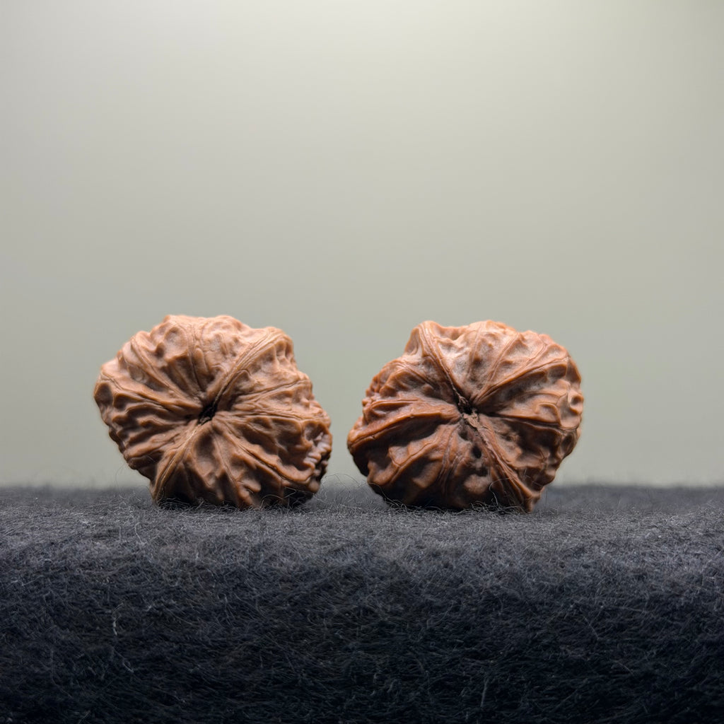 Dragon Pearl Wenwan Walnut  · 31mm · Natural · Select Ritual