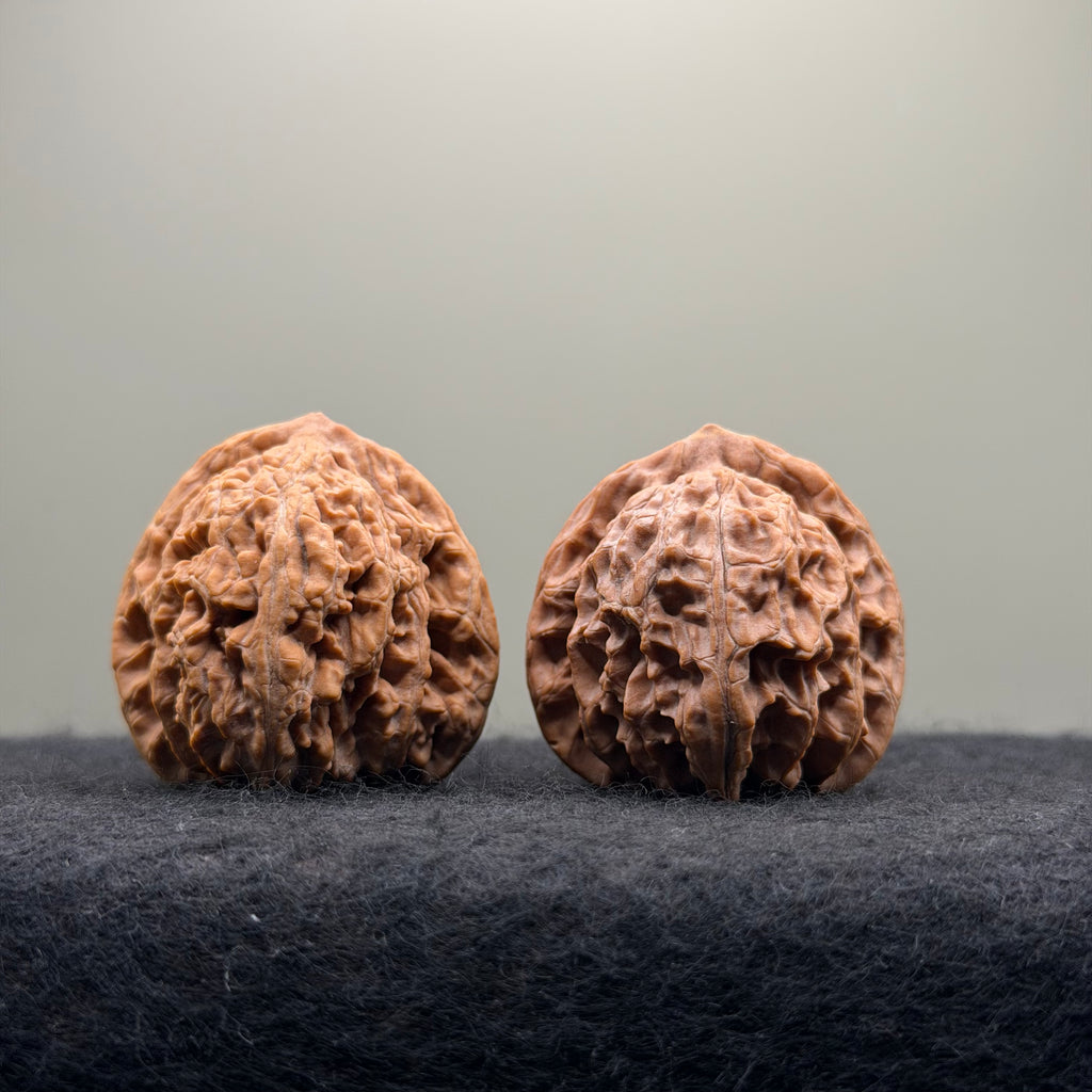 'Sunset Clouds' Wenwan Walnut · 38mm · Entry Ritual